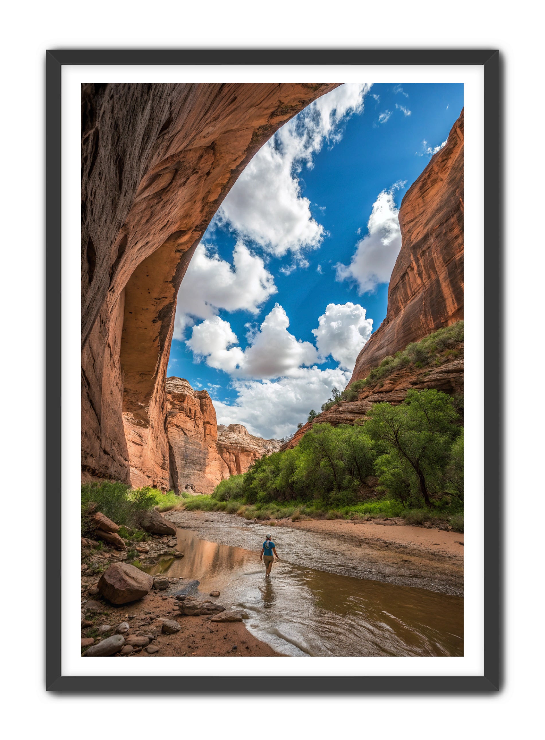 Apricus Prints 'Arches Creek' Apricus Art Collection