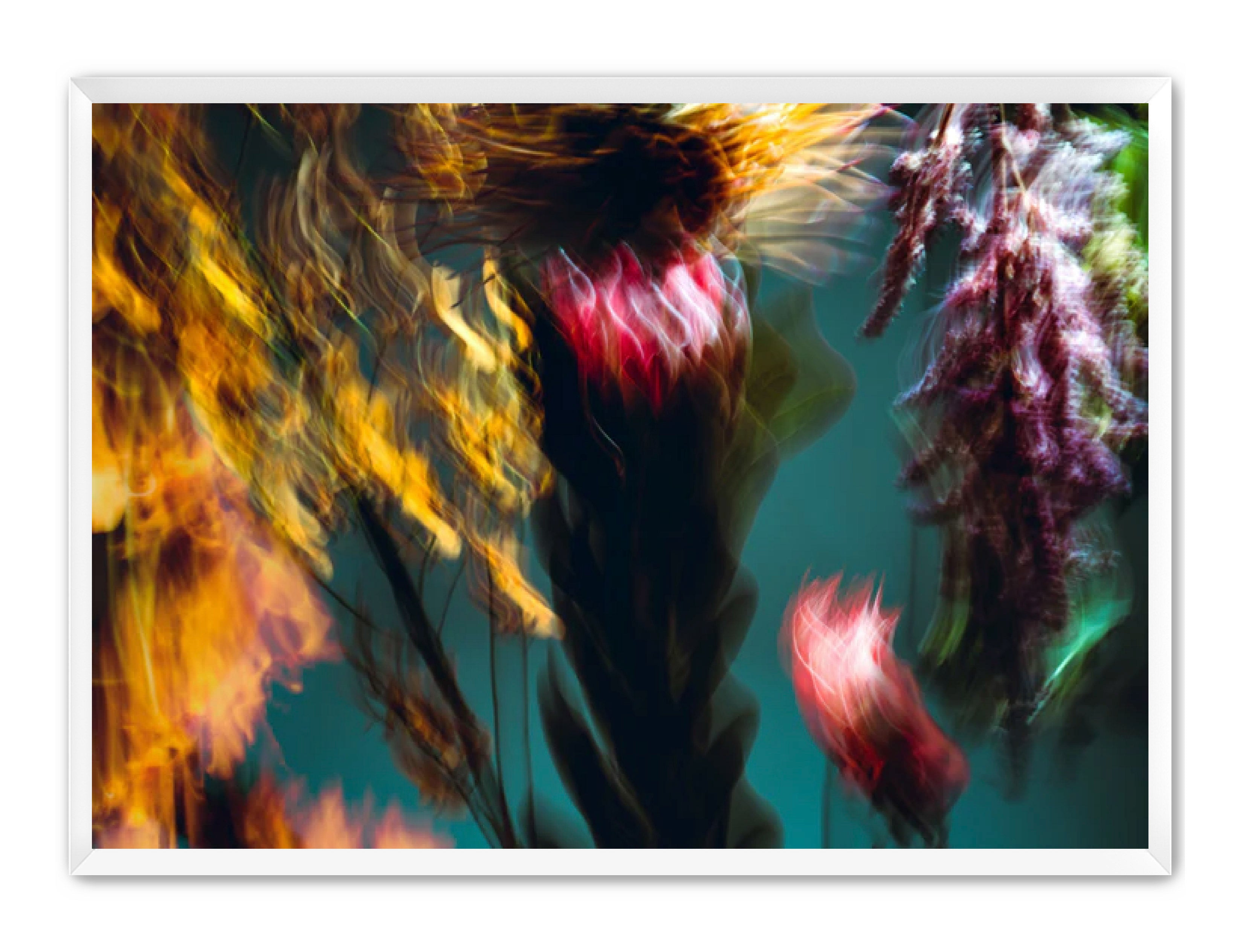 Photography Prints 'Fleur Bleur' Reed Decker