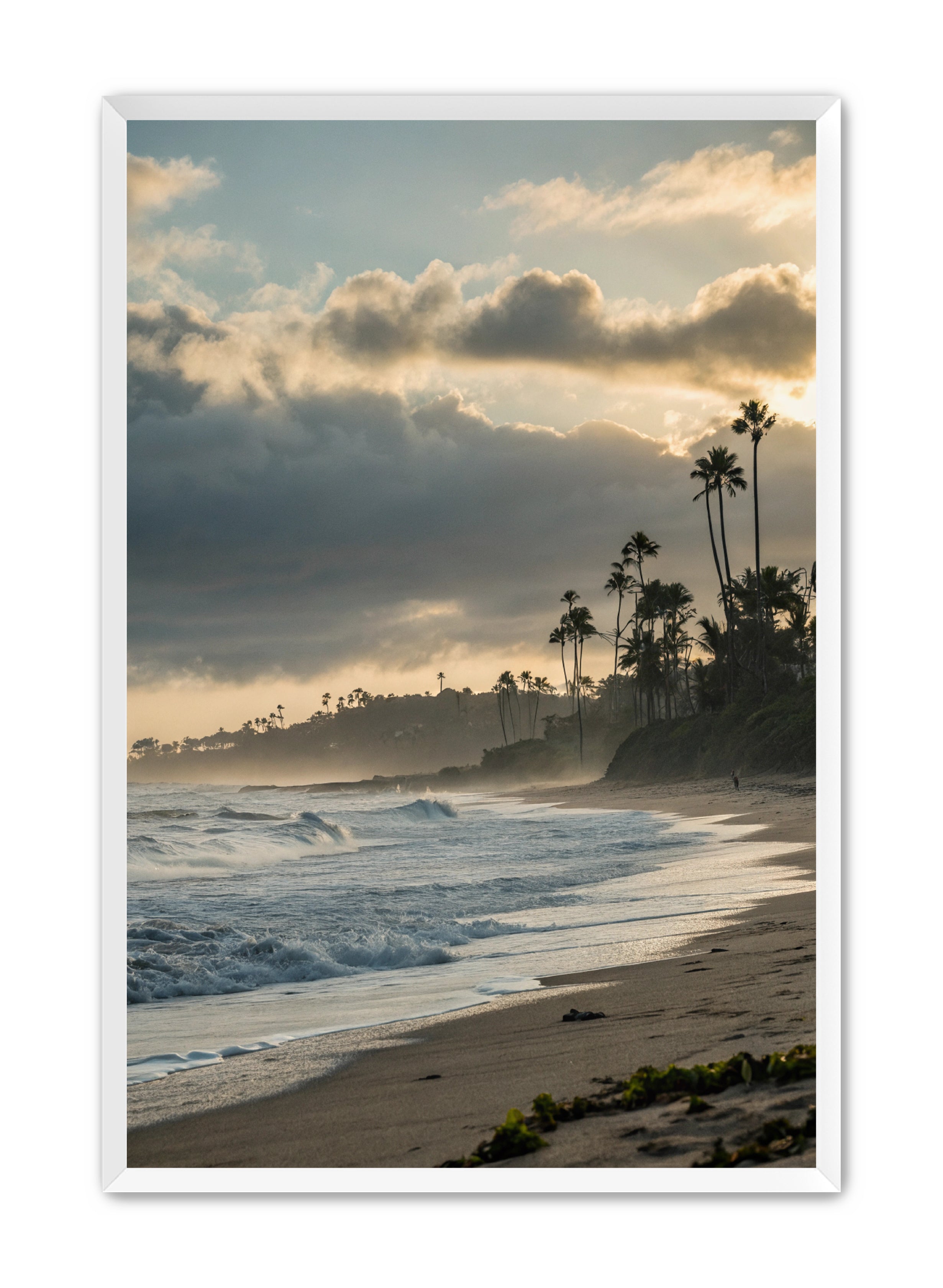 Apricus Prints Beaches 'Coastal Echoes' Apricus Art Collection