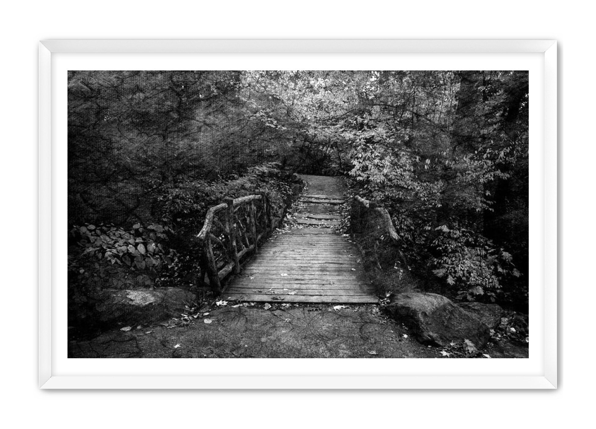 PhotoArt Prints 'PARK PATH' Danielle Neumann Kelly