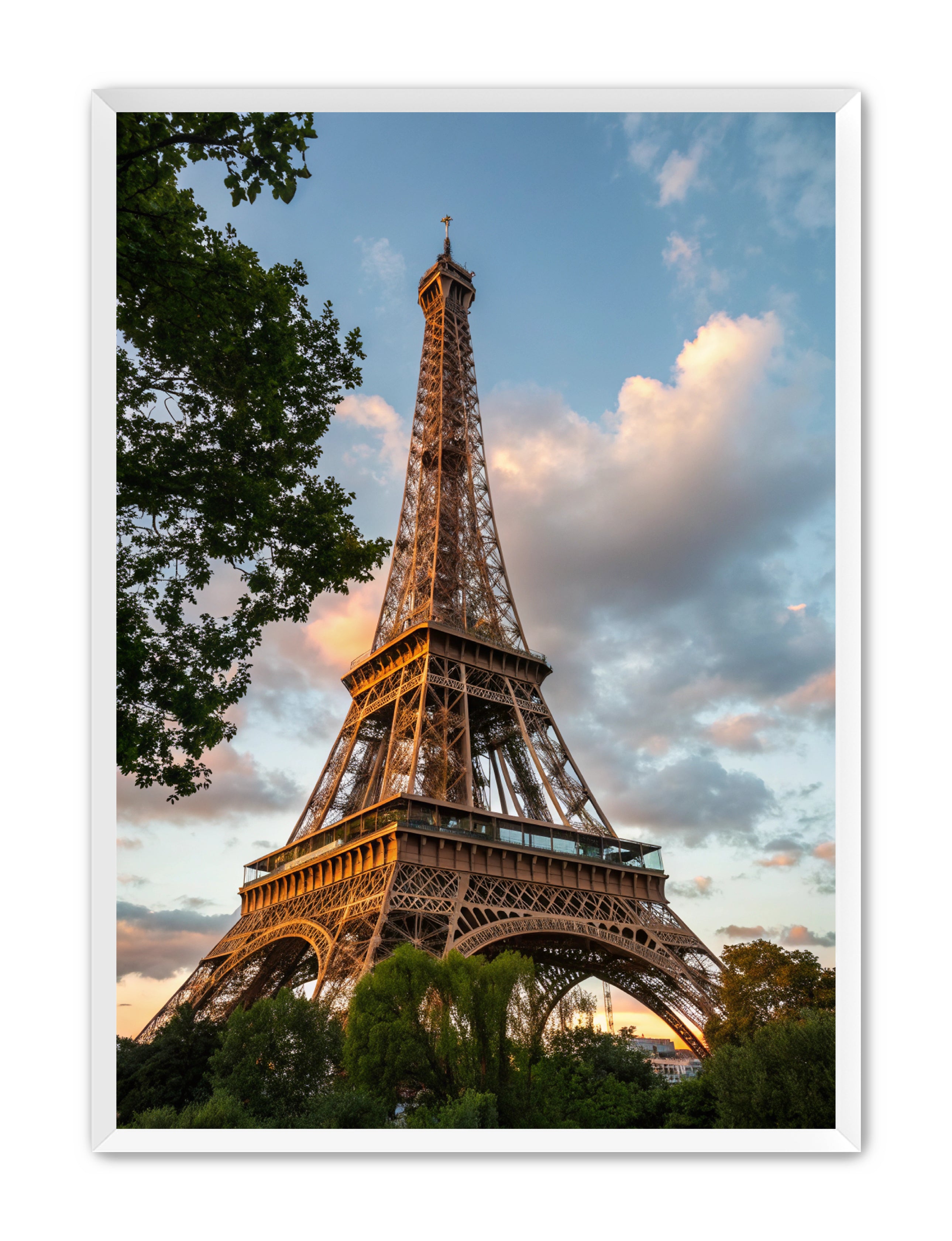 Apricus Prints 'Paris Bloom' Apricus Art Collection