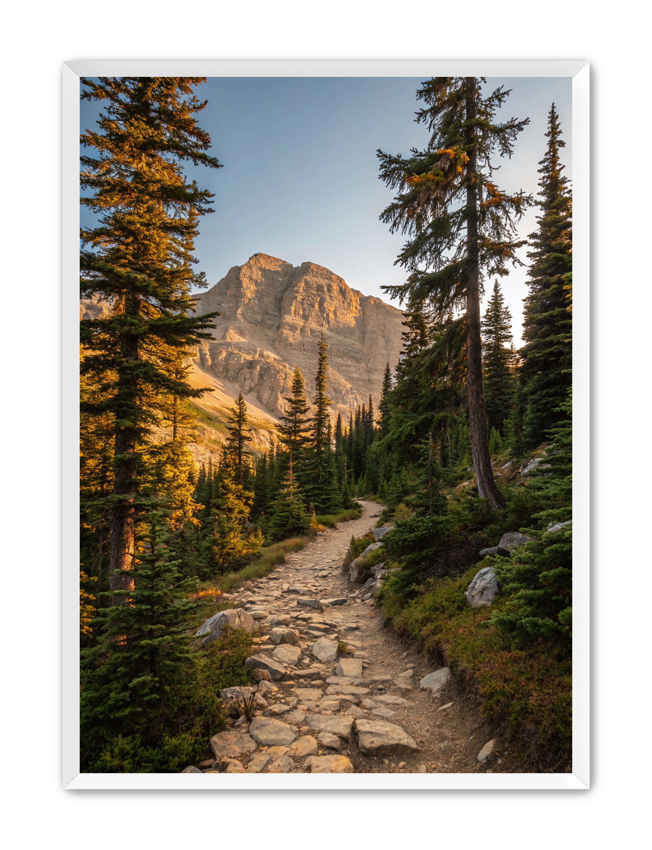 Apricus Prints 'Rocky Mountain Way' Apricus Art Collection