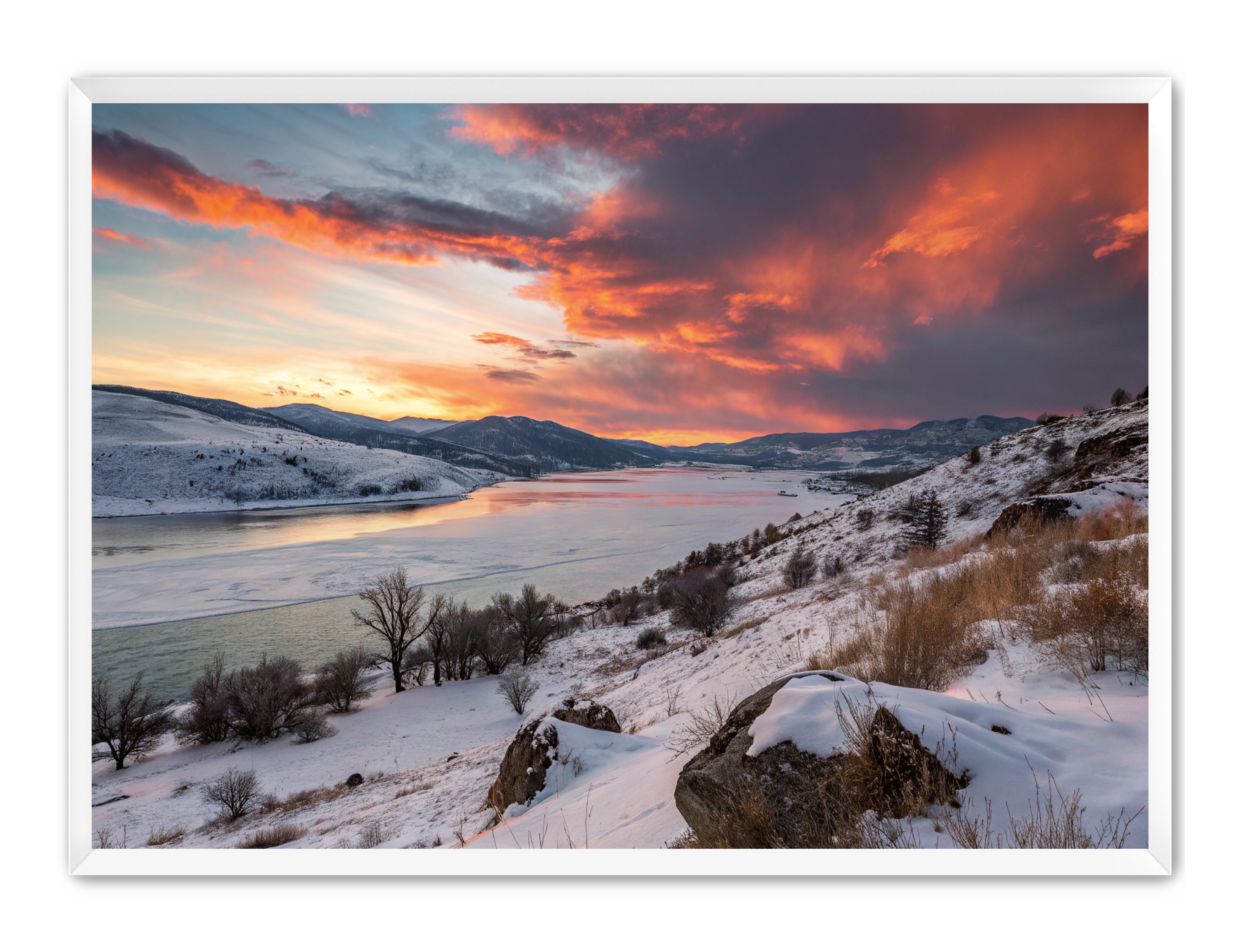 Apricus Prints 'Winter Reds' Apricus Art Collection