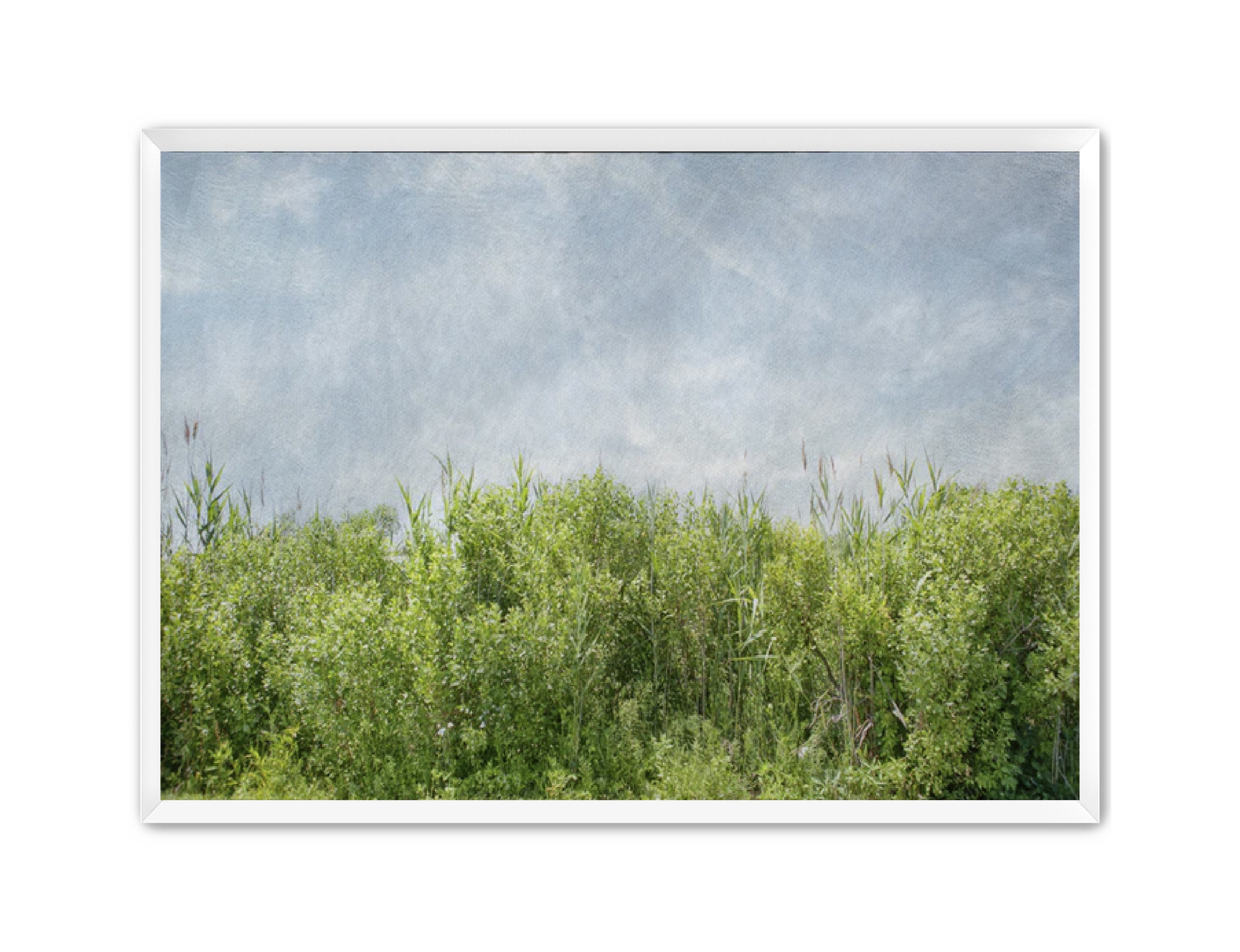 PhotoArt Prints 'BEACH BRIAR' Danielle Neumann Kelly