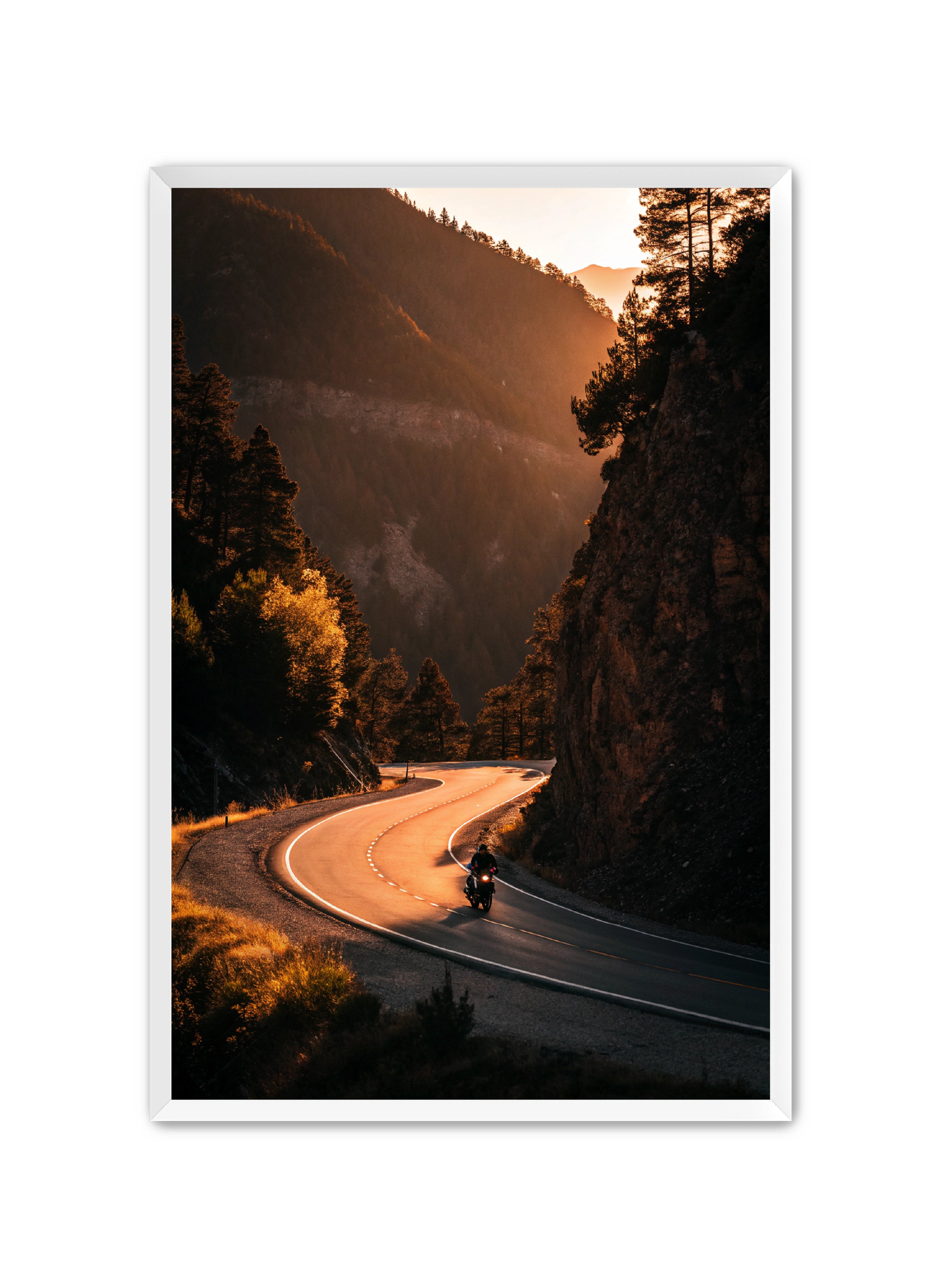 Apricus Prints 'Riding the Ridge' Apricus Art Collection