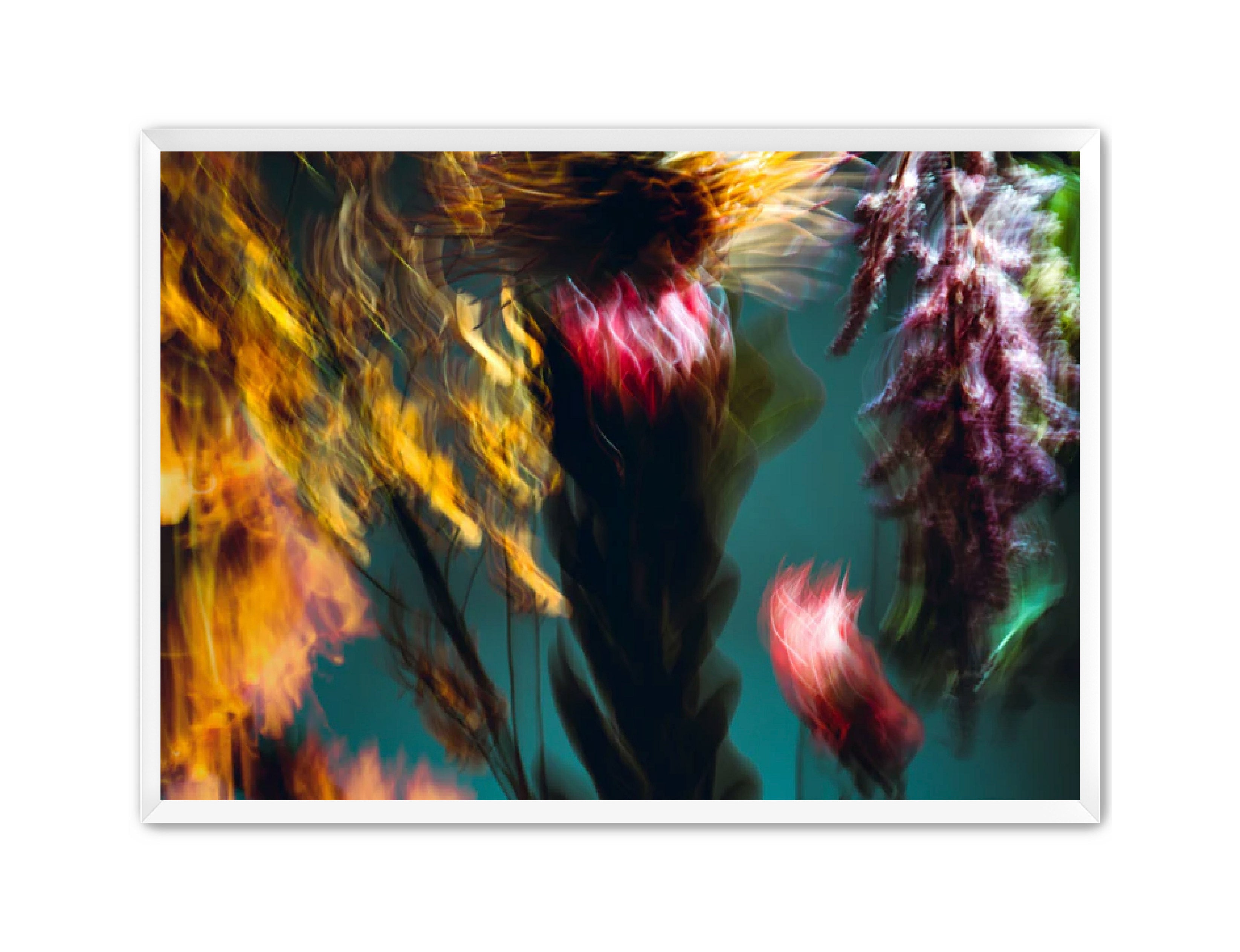 Photography Prints 'Fleur Bleur' Reed Decker