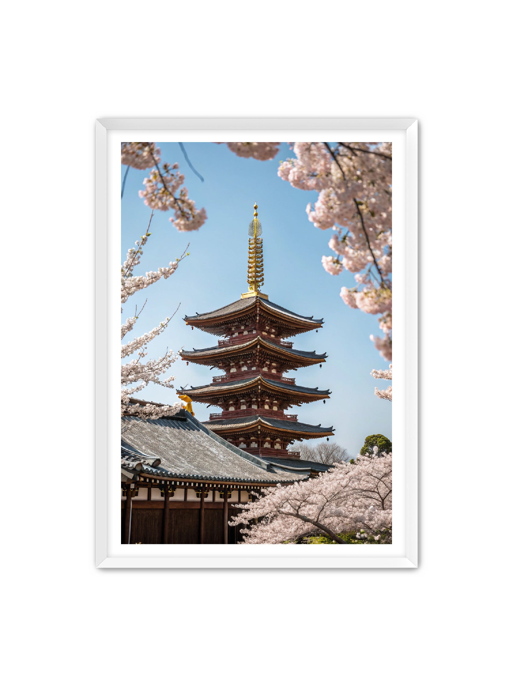 Apricus Prints 'Blossom Fortress' Apricus Art Collection