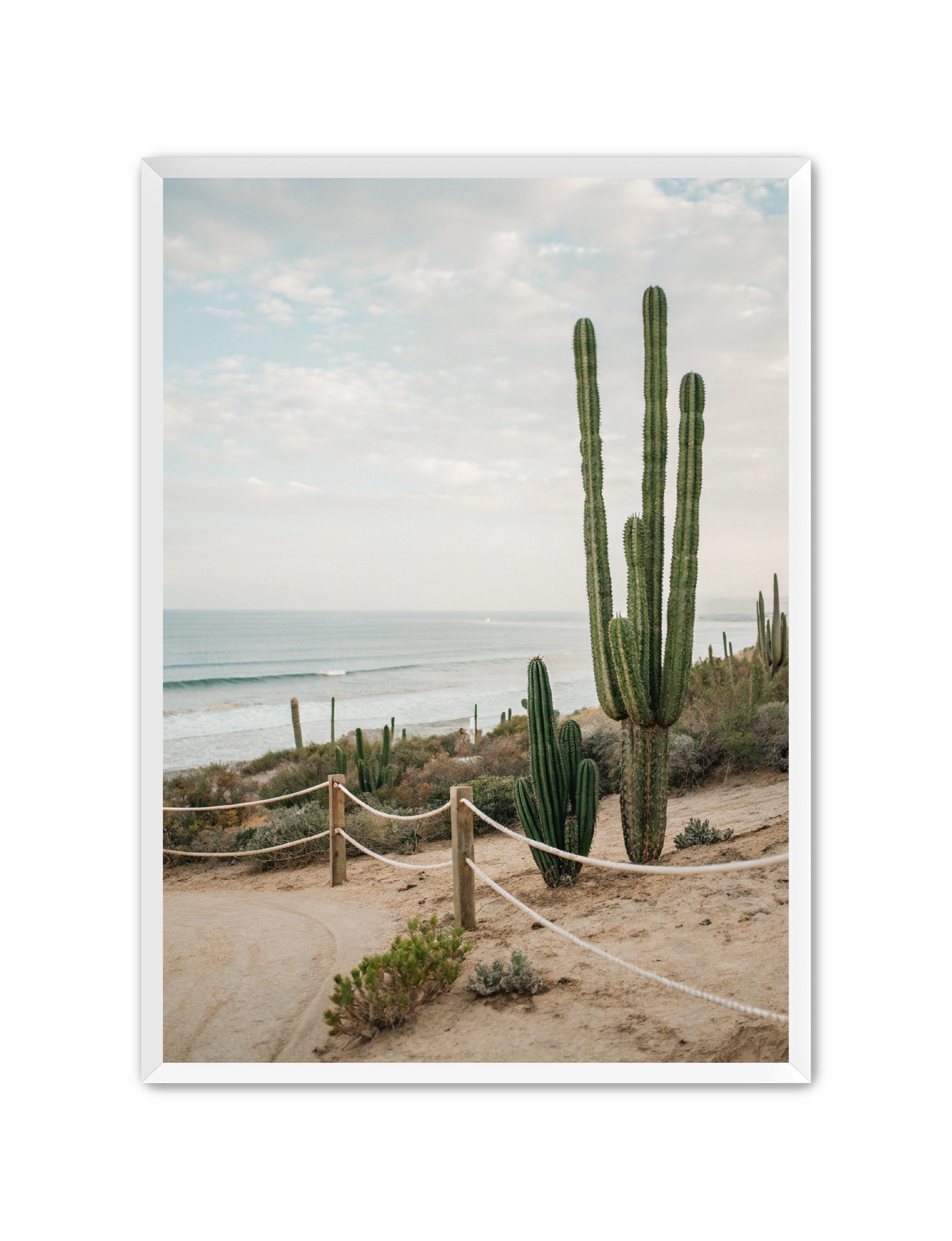 Apricus Prints Beaches 'SoCal' Apricus Art Collection