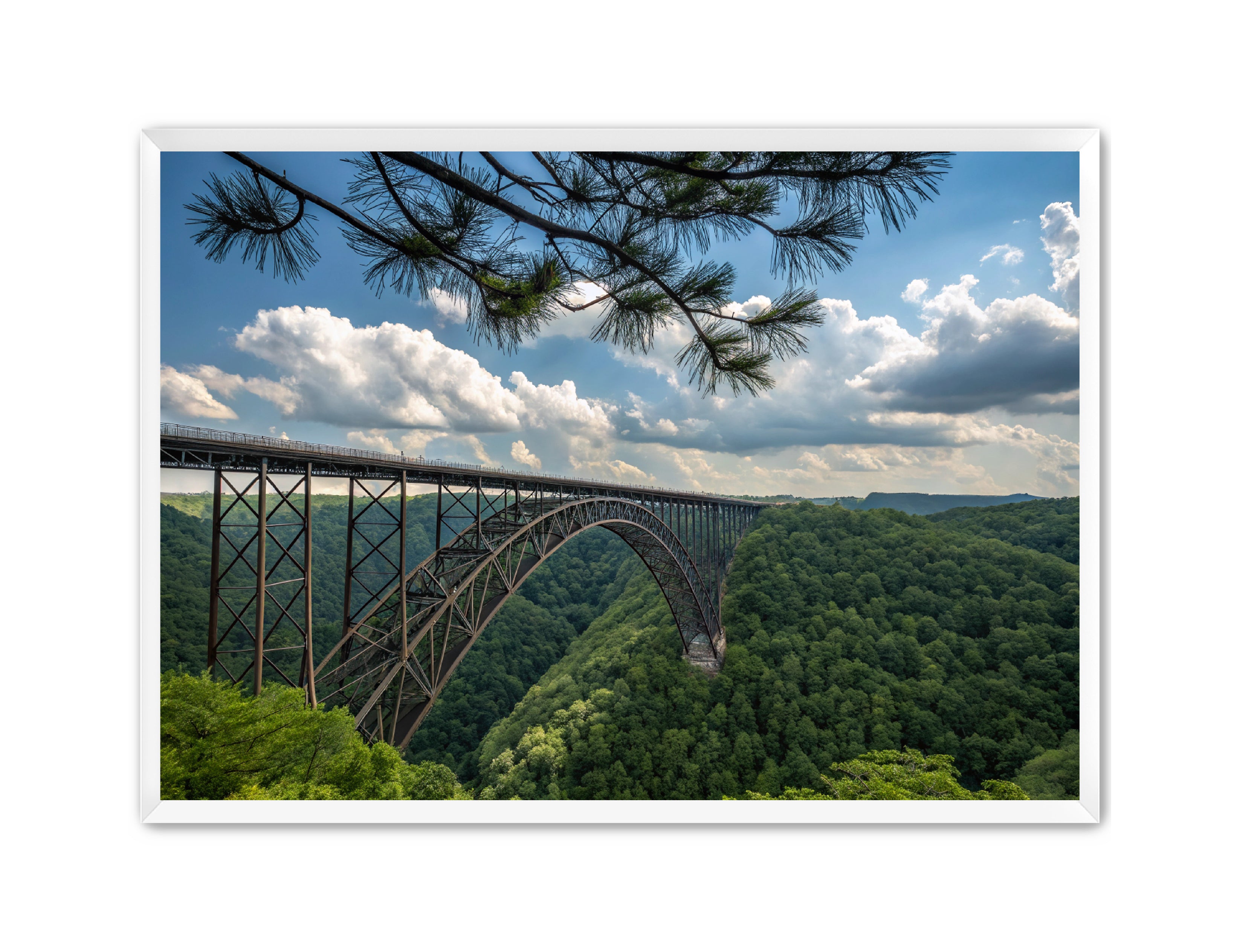 Apricus Prints 'Wild & Wonderful, West Virginia' Apricus Art Collection