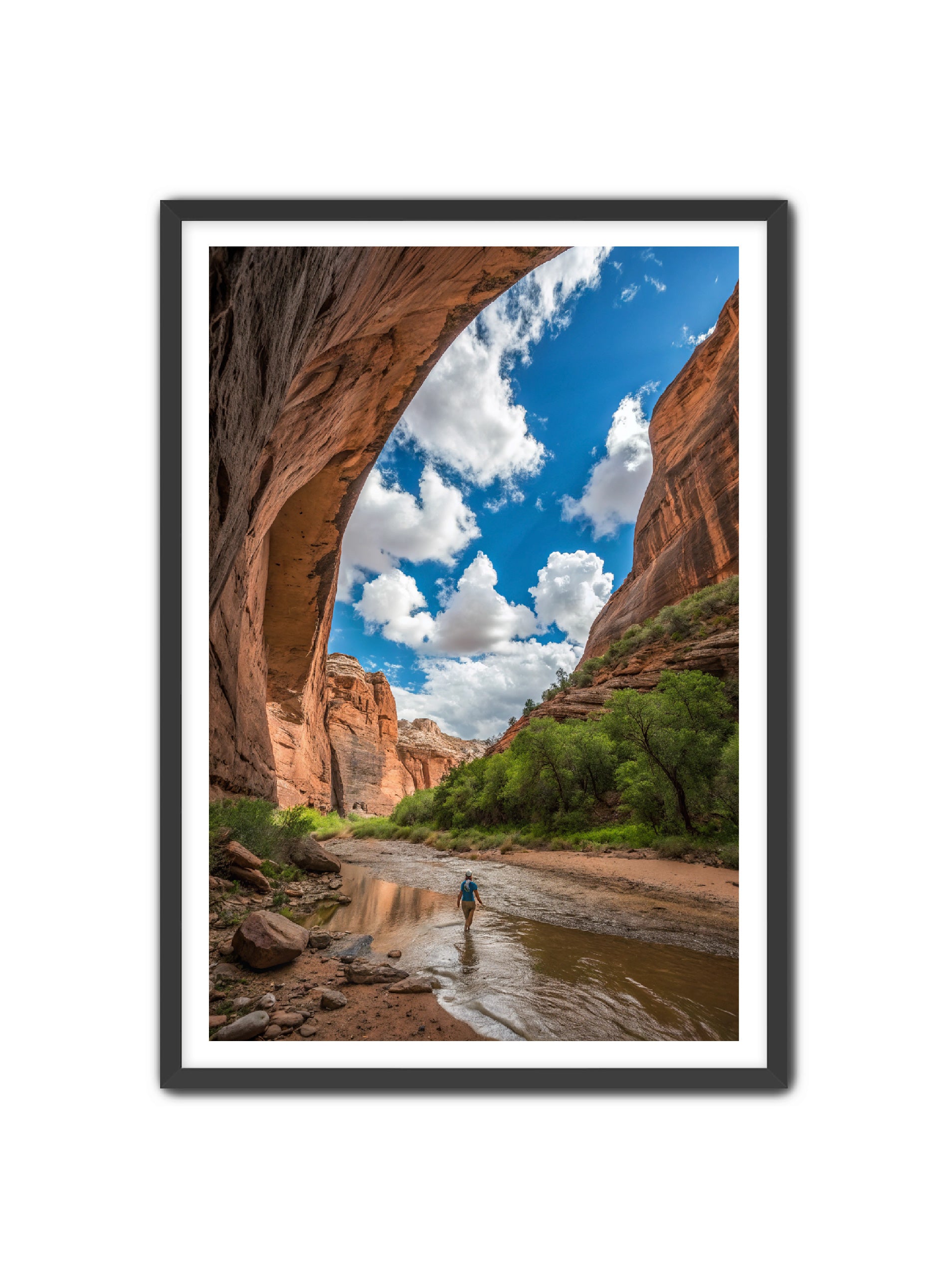 Apricus Prints 'Arches Creek' Apricus Art Collection