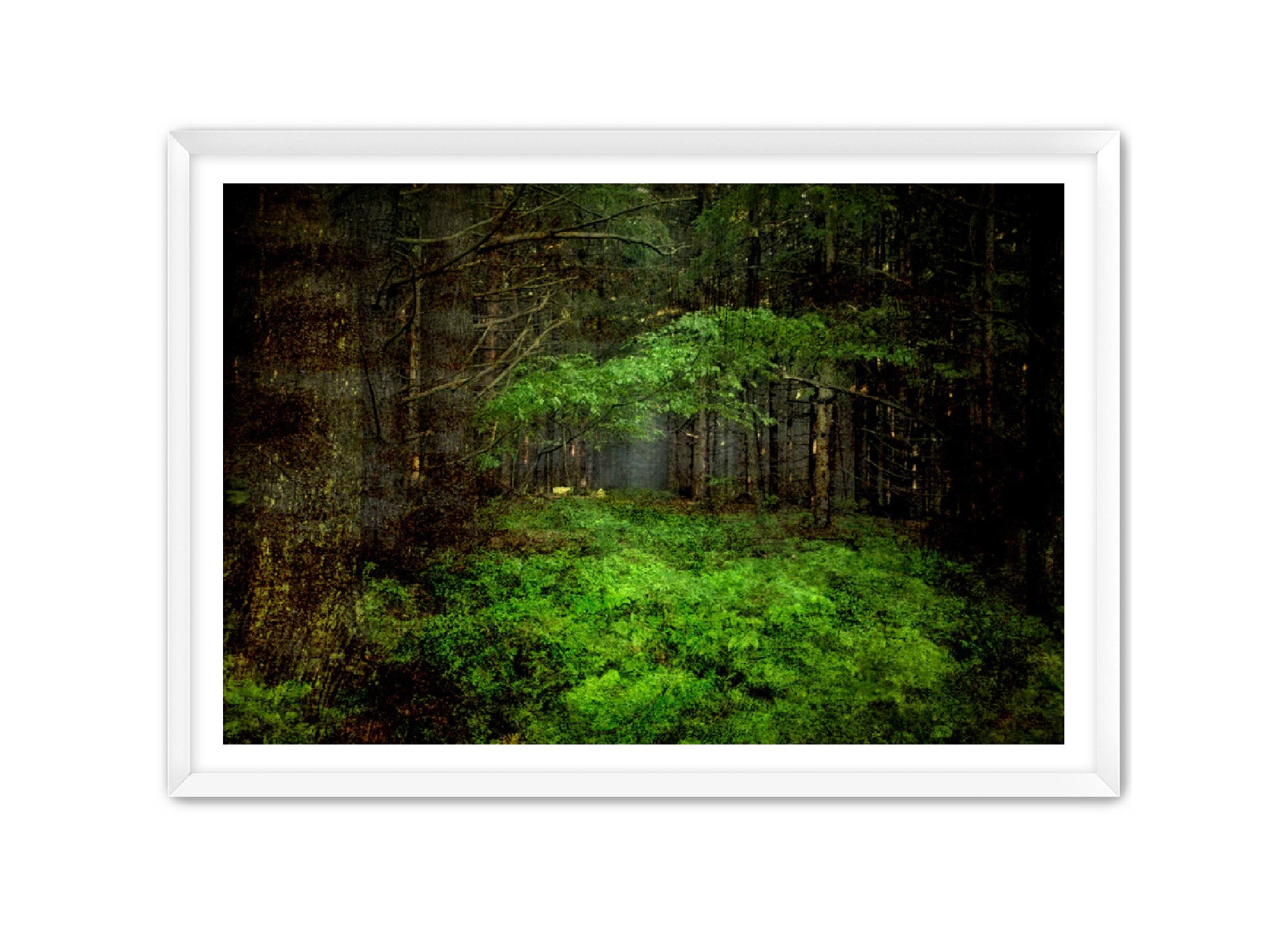 PhotoArt Prints 'TEXTURED TREES 3' Danielle Neumann Kelly