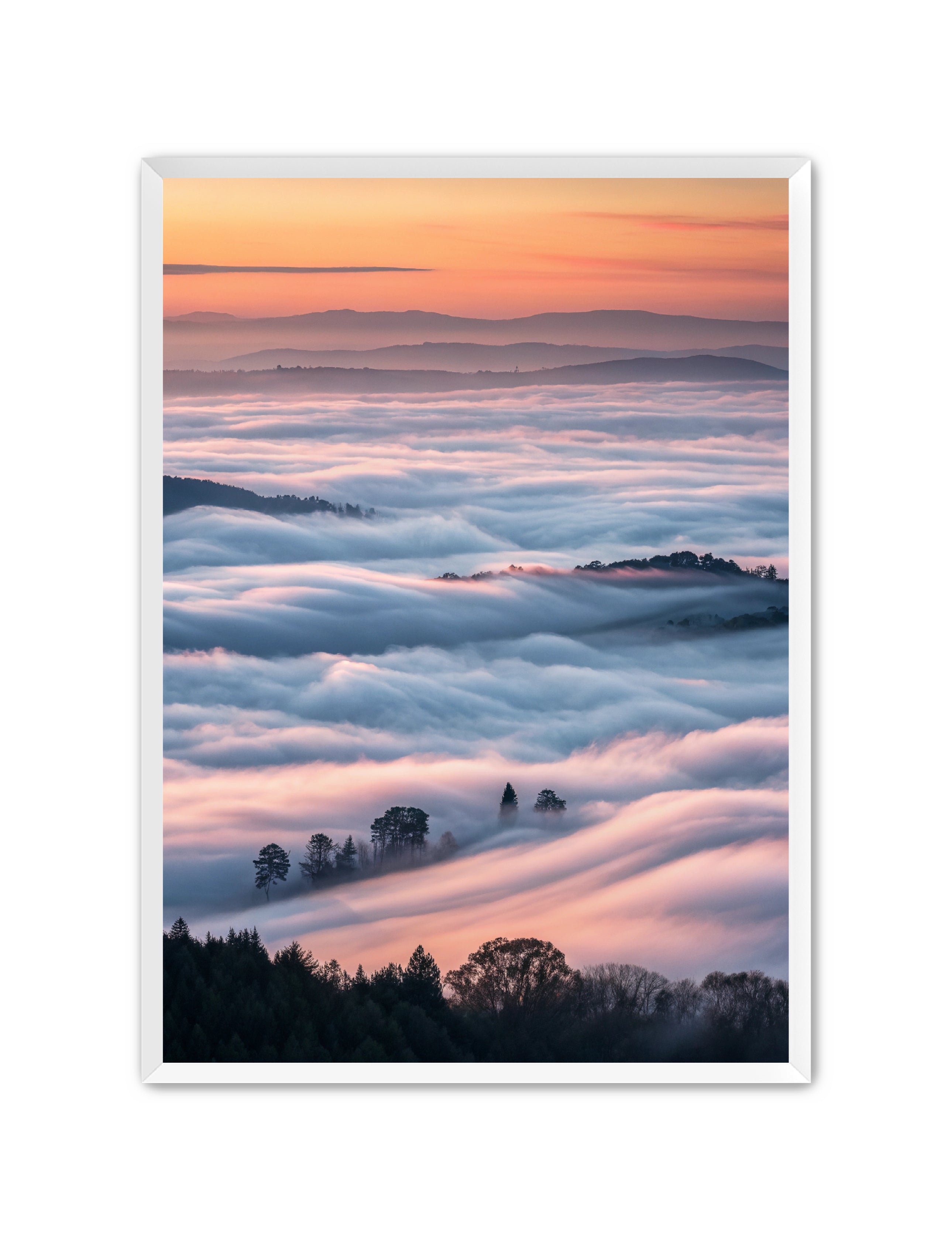 Apricus Prints 'Clouded Canopy' Apricus Art Collection