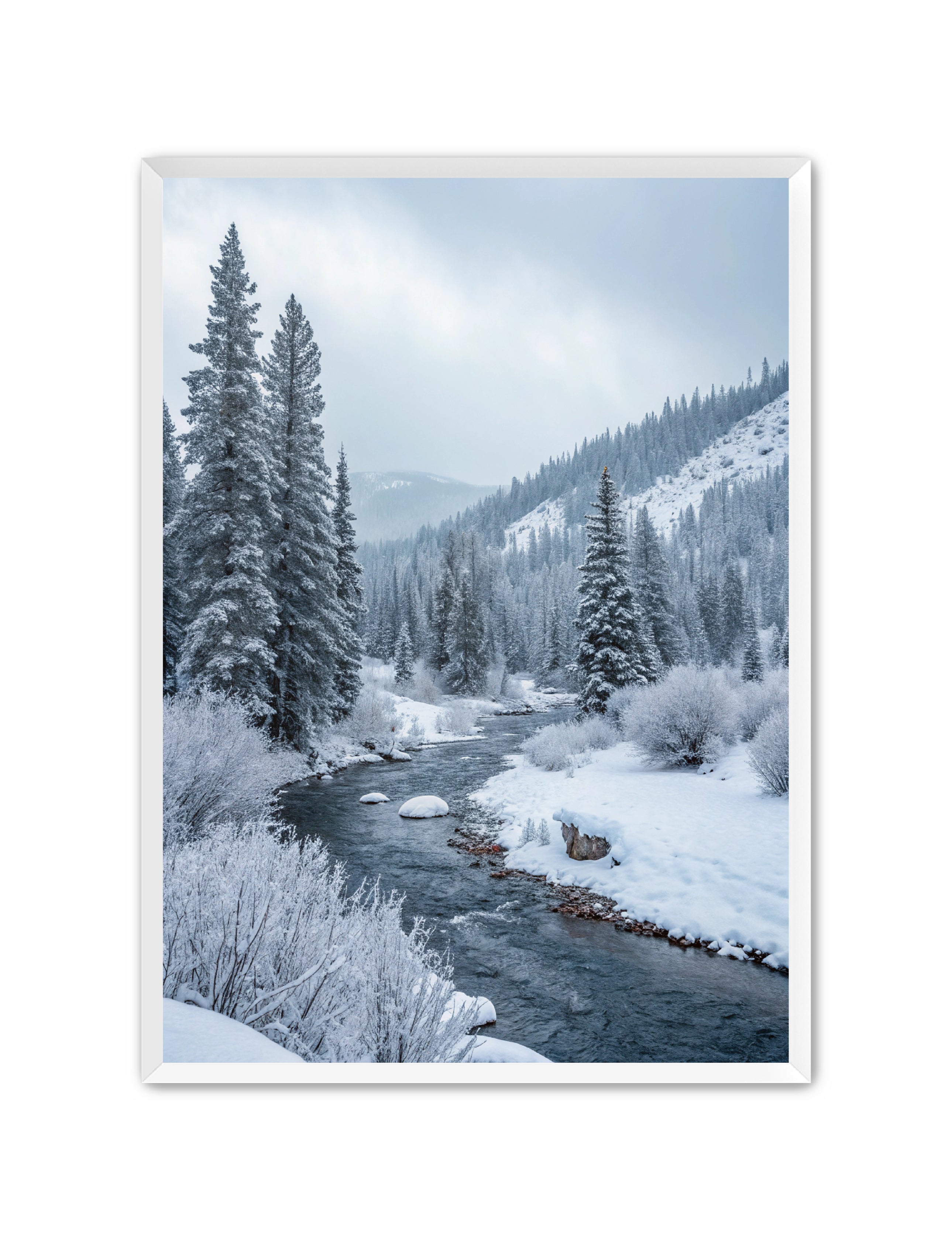 Apricus Prints 'Frozen Flow' Apricus Art Collection