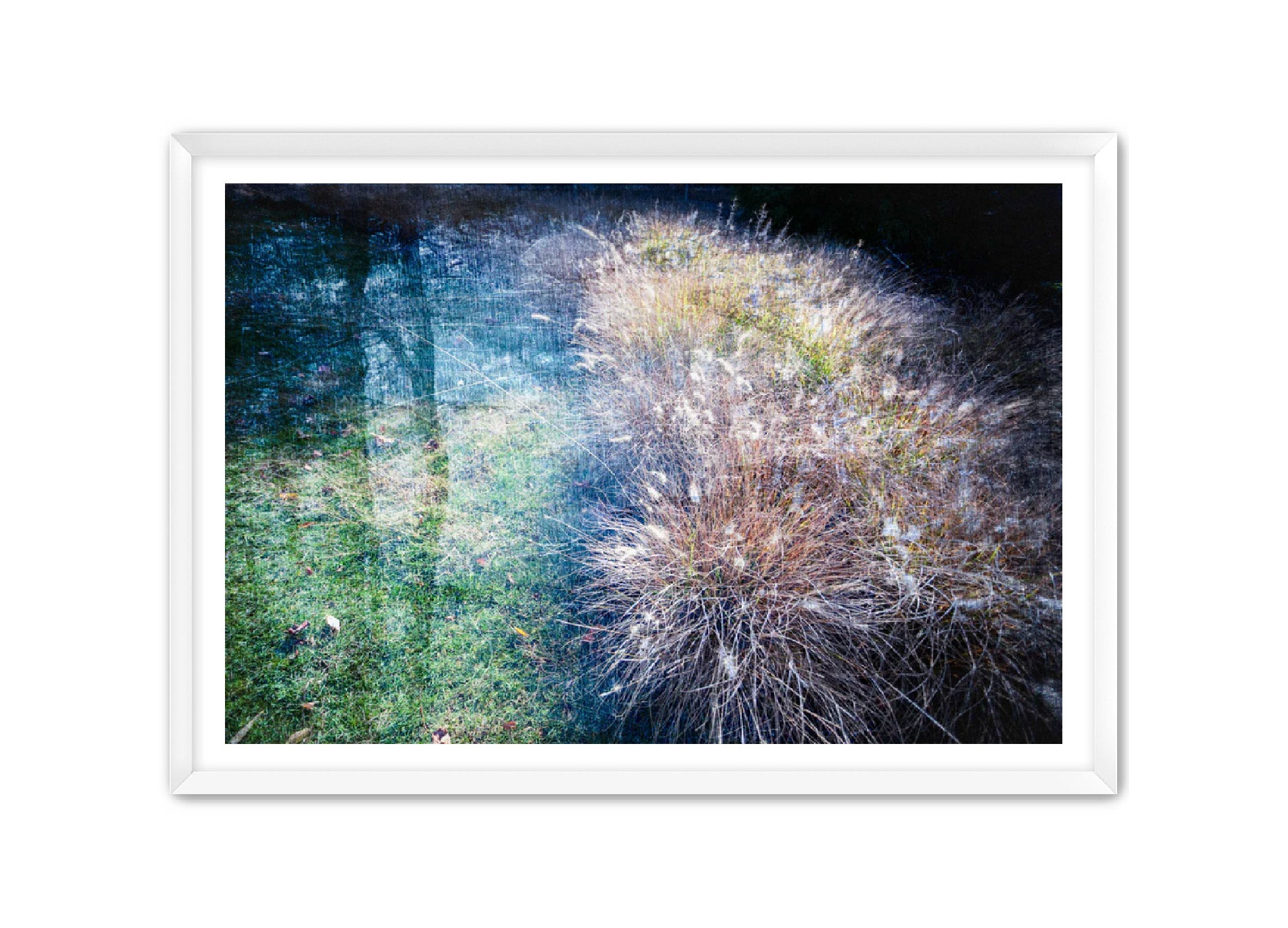 PhotoArt Prints 'GRASSES' Danielle Neumann Kelly