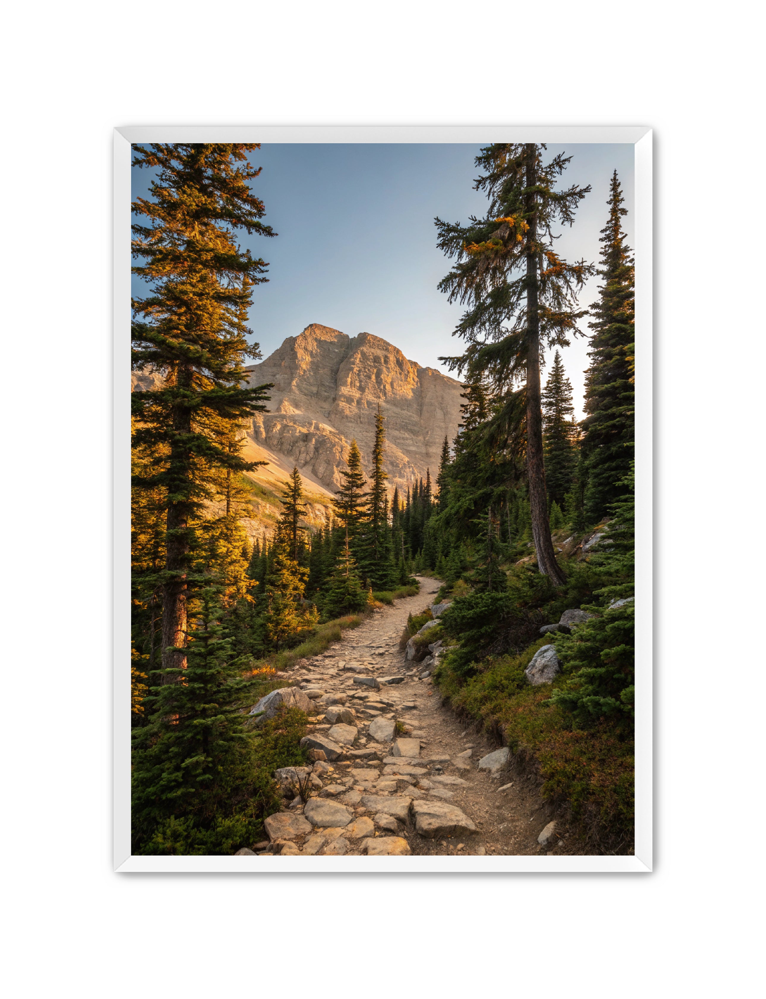 Apricus Prints 'Rocky Mountain Way' Apricus Art Collection