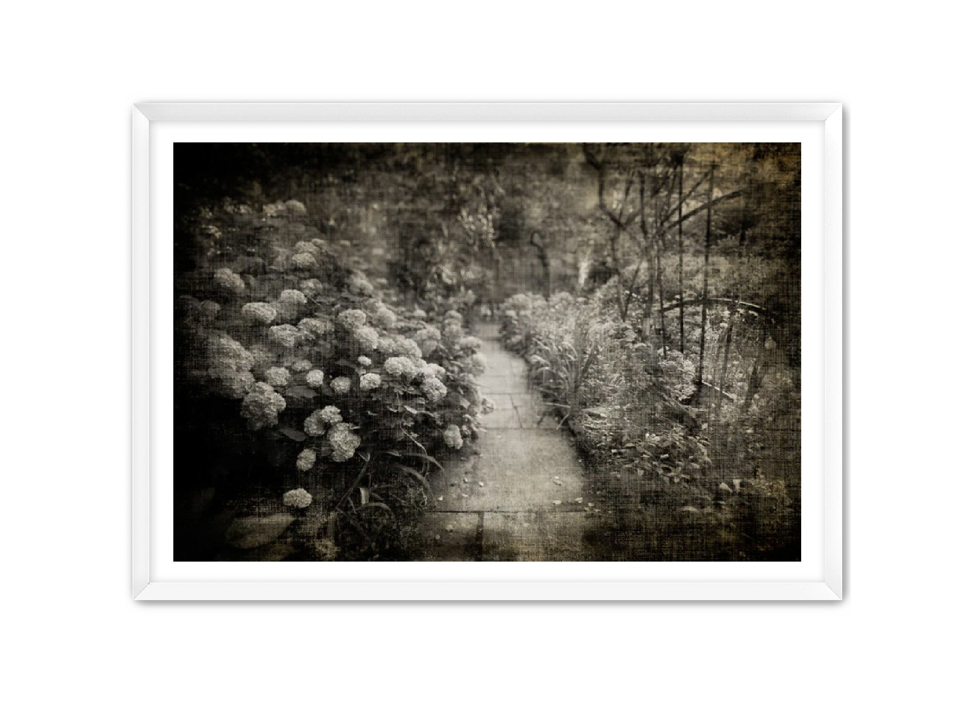 PhotoArt Prints 'PARK PATH 2' Danielle Neumann Kelly