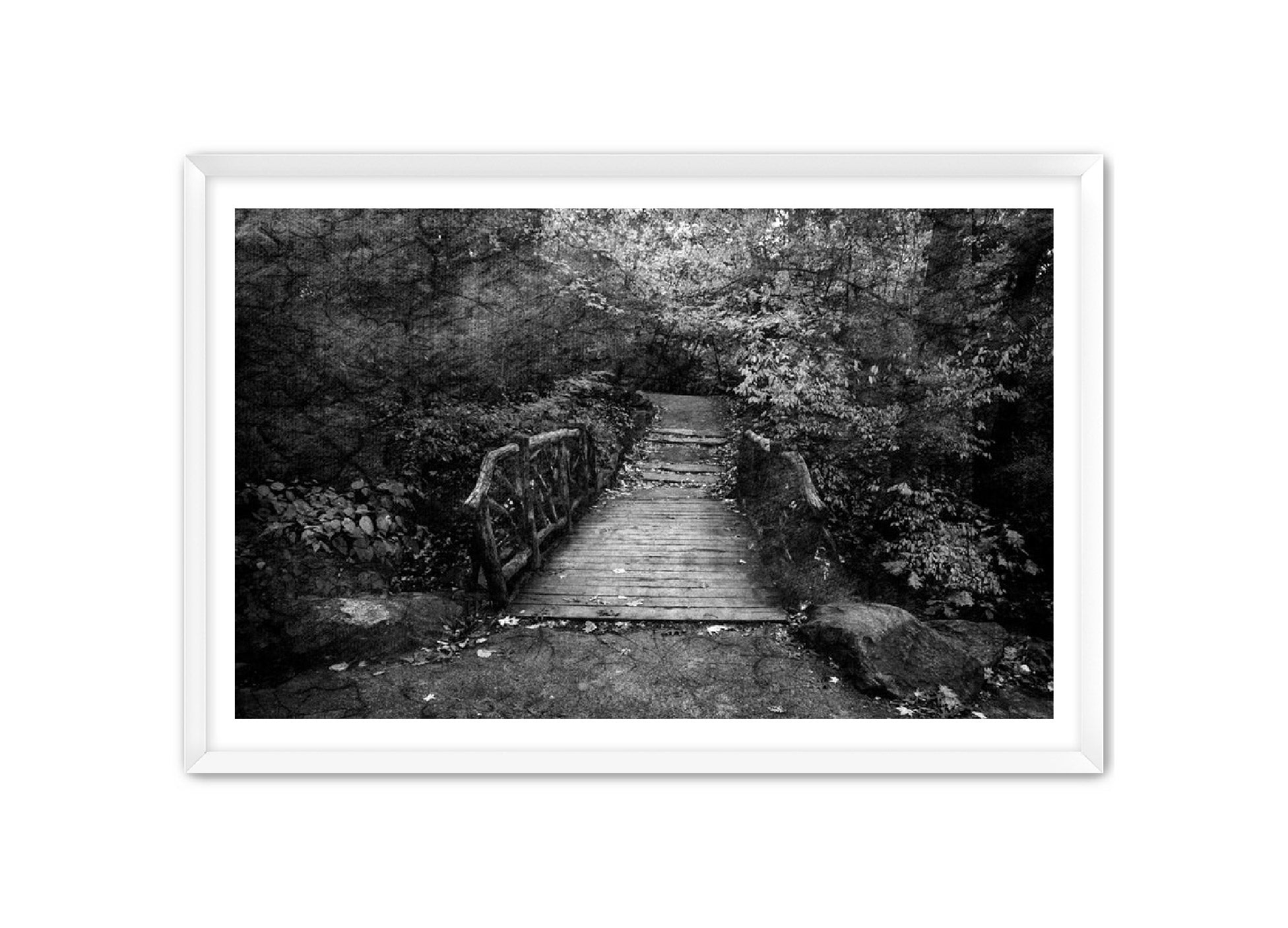 PhotoArt Prints 'PARK PATH' Danielle Neumann Kelly