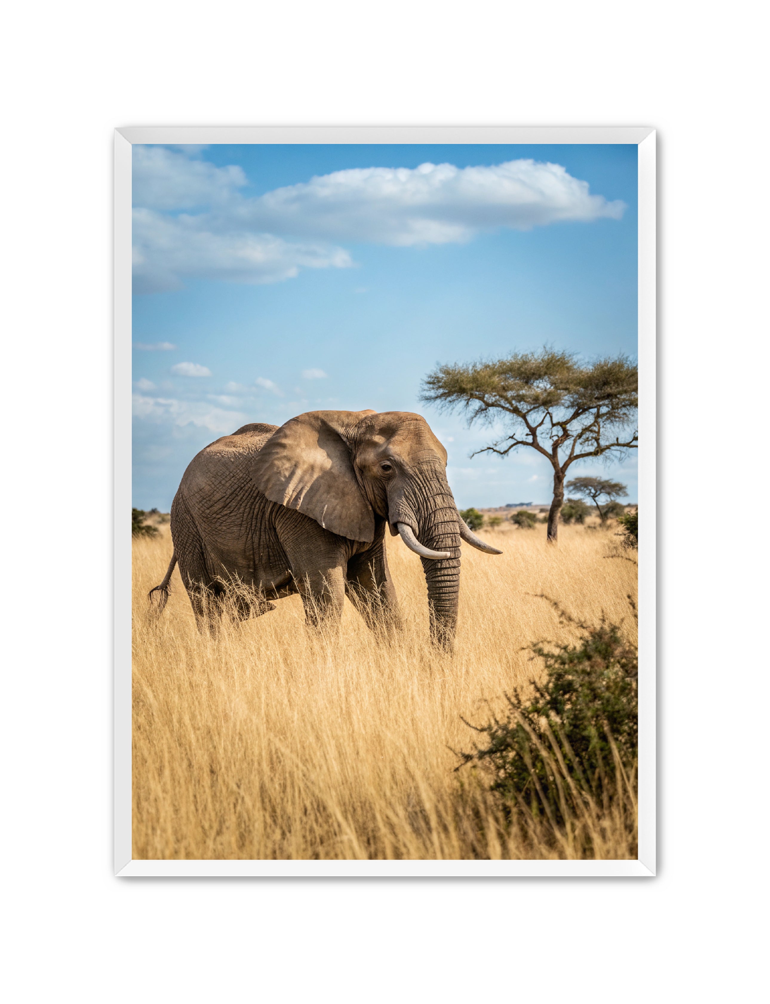 Apricus Prints 'Ellie, The Gentle Giant' Apricus Art Collection