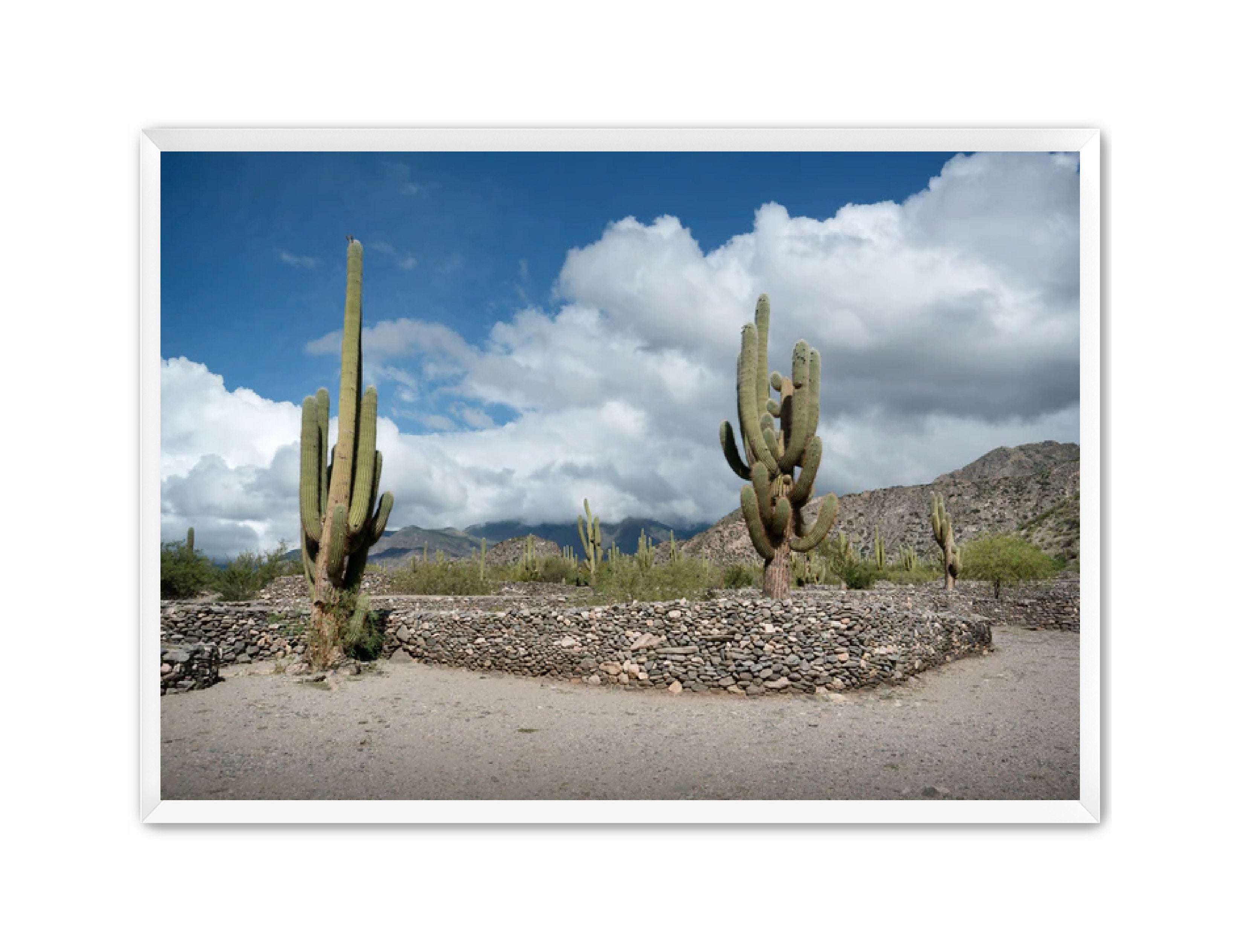 Landscape Photography Prints 'Cactus on the way' Aline Karagozlu