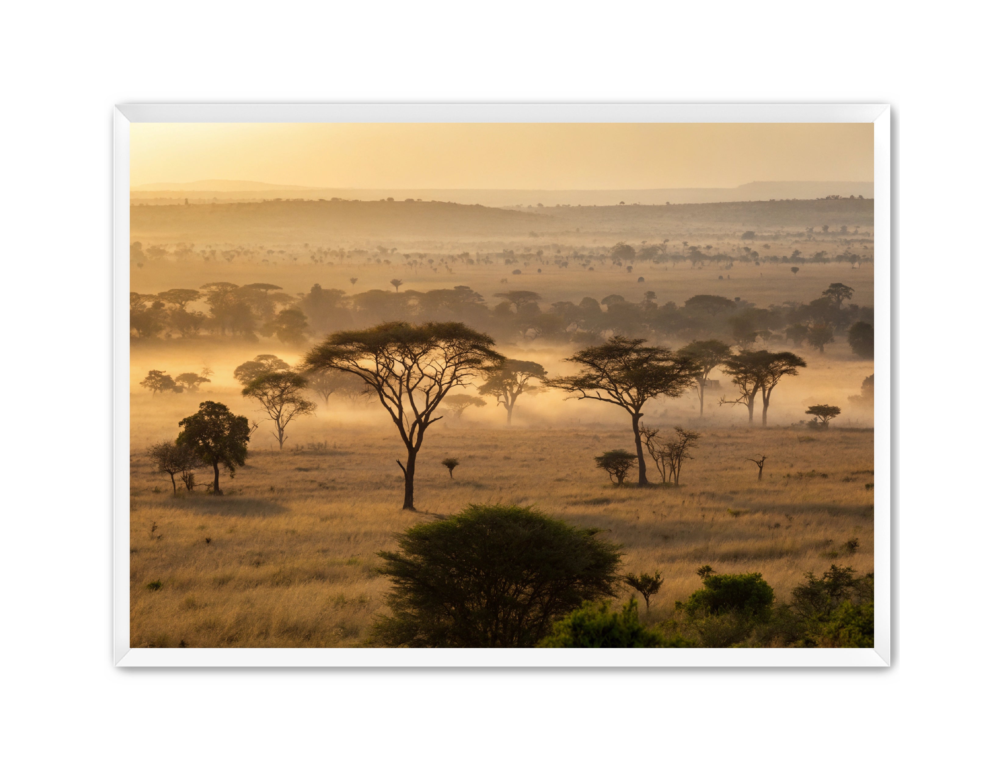 Apricus Prints 'Sunrise on the Serengeti' Apricus Art Collection