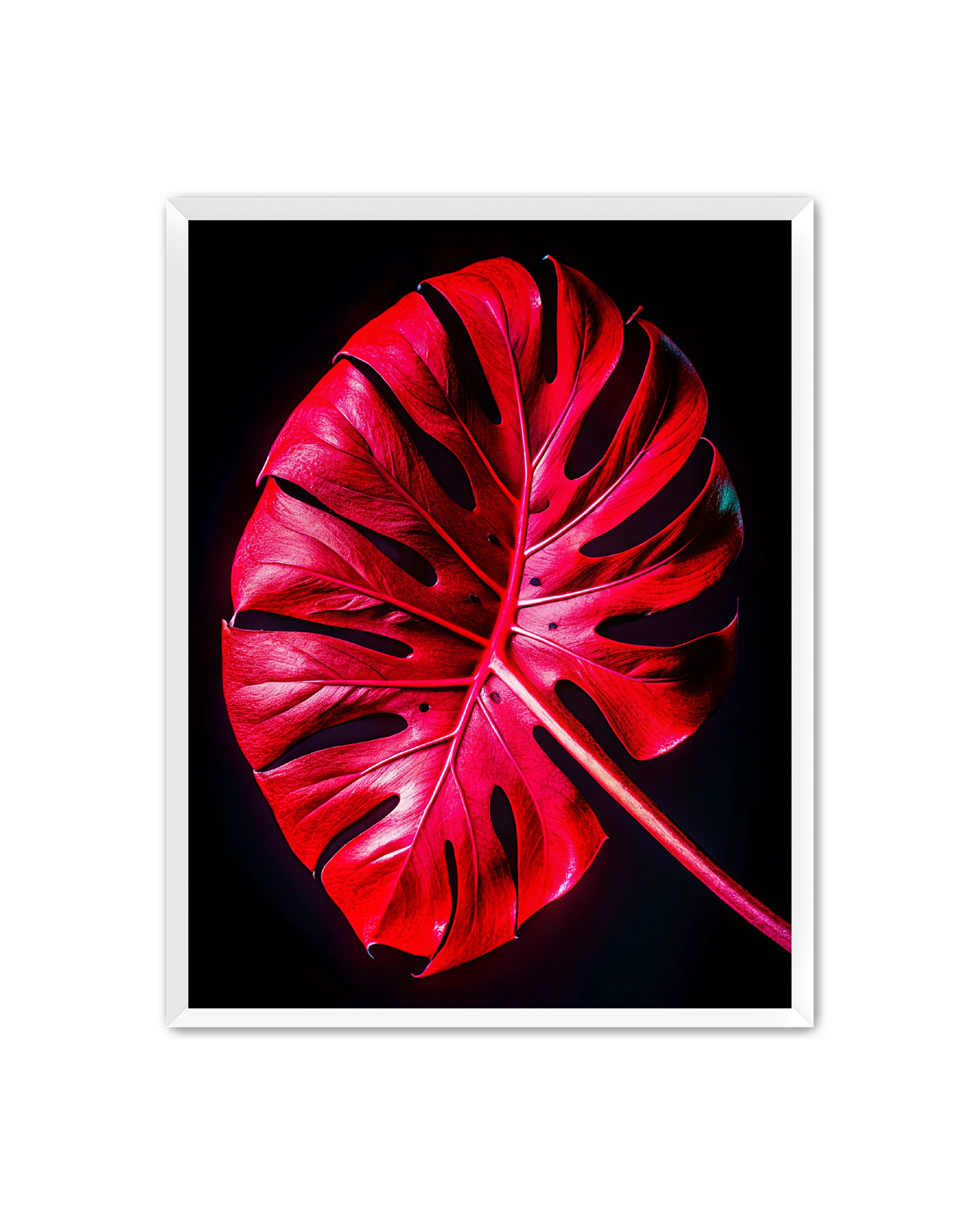 Abstract Prints 'Kinetic Plant' Apricus Art Collection