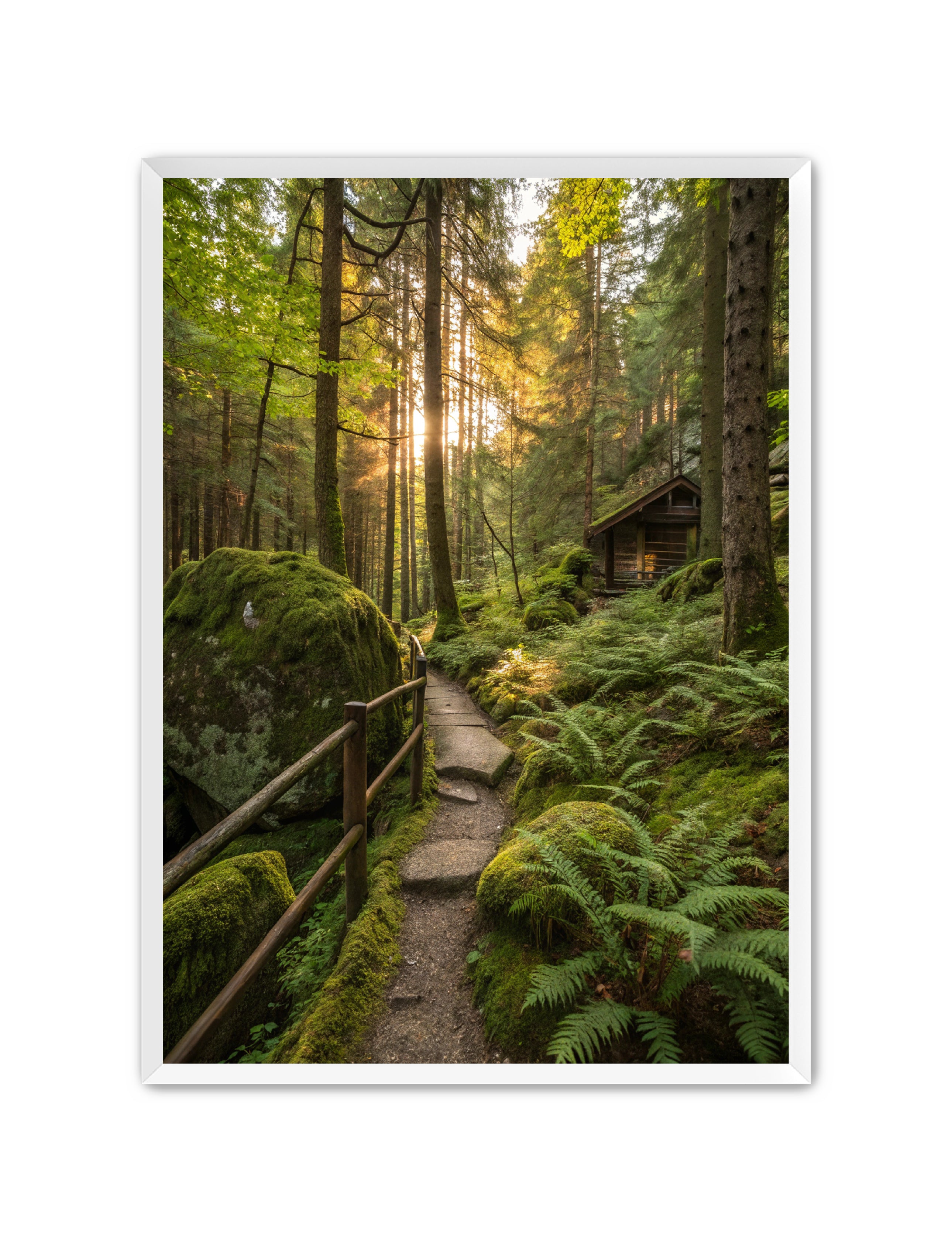 Apricus Prints 'Cabin of the Woods' Apricus Art Collection