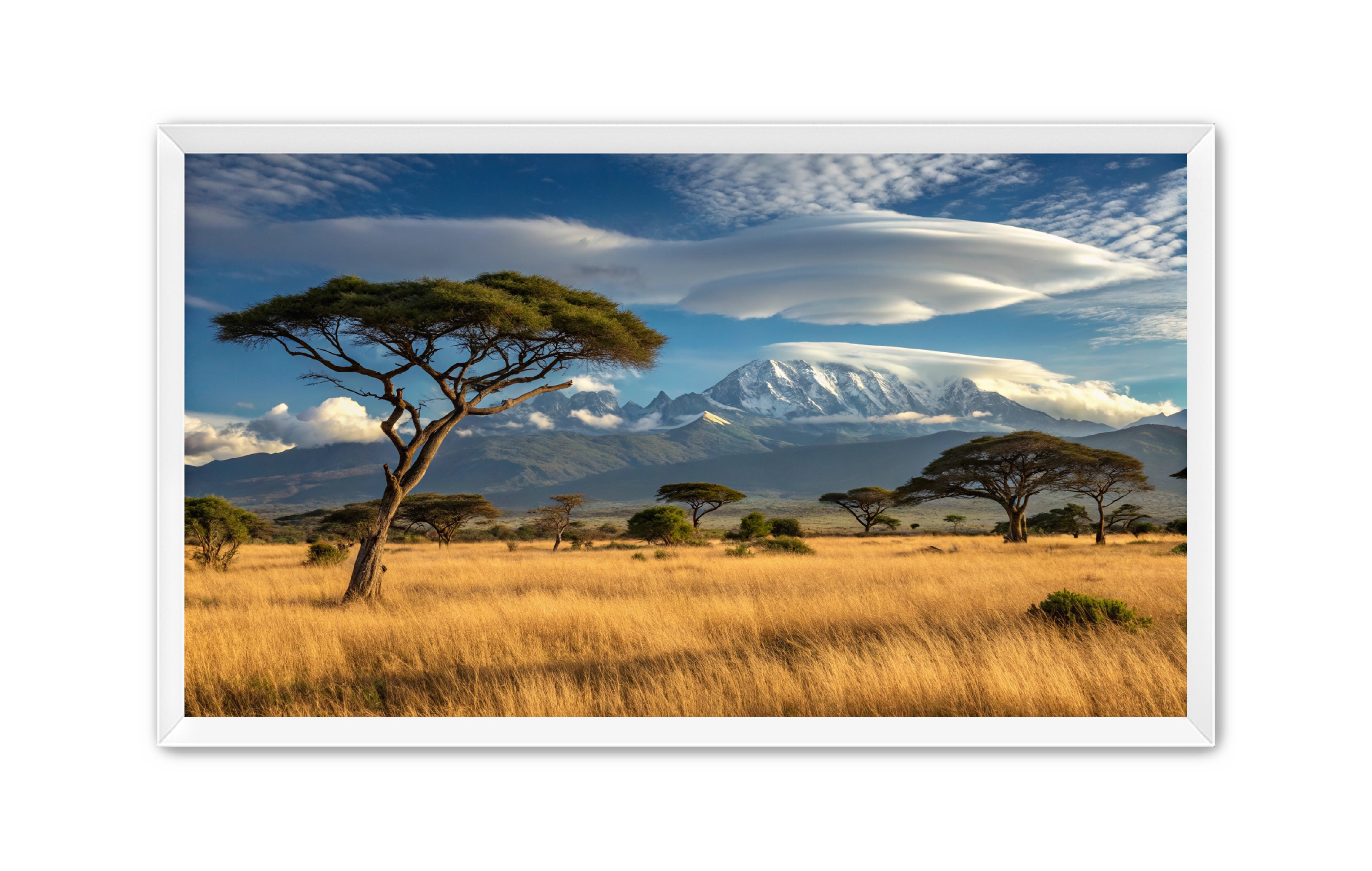 Apricus Prints 'Safari Layers' Apricus Art Collection