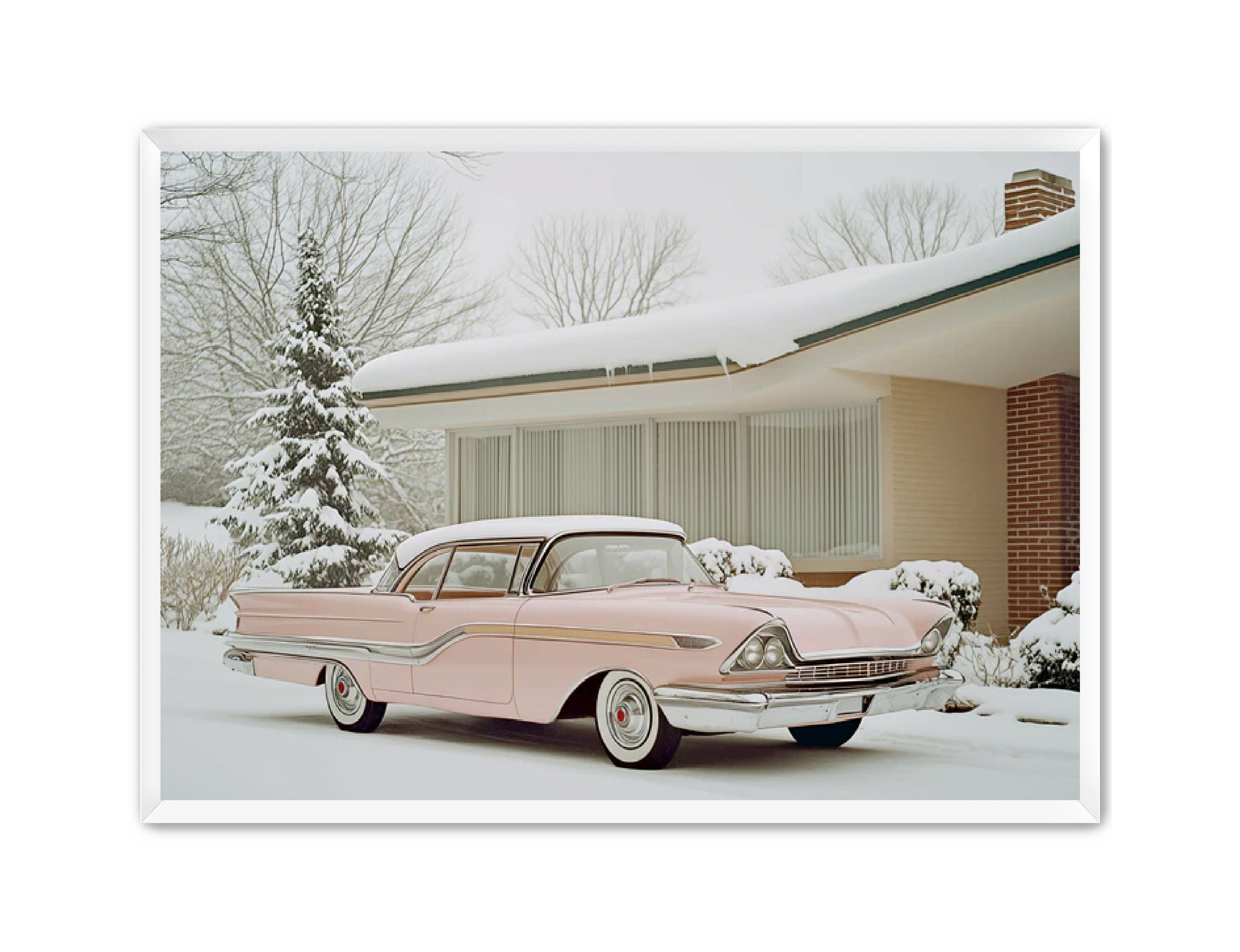 Photography Prints 'Pink Lady' Reed Decker