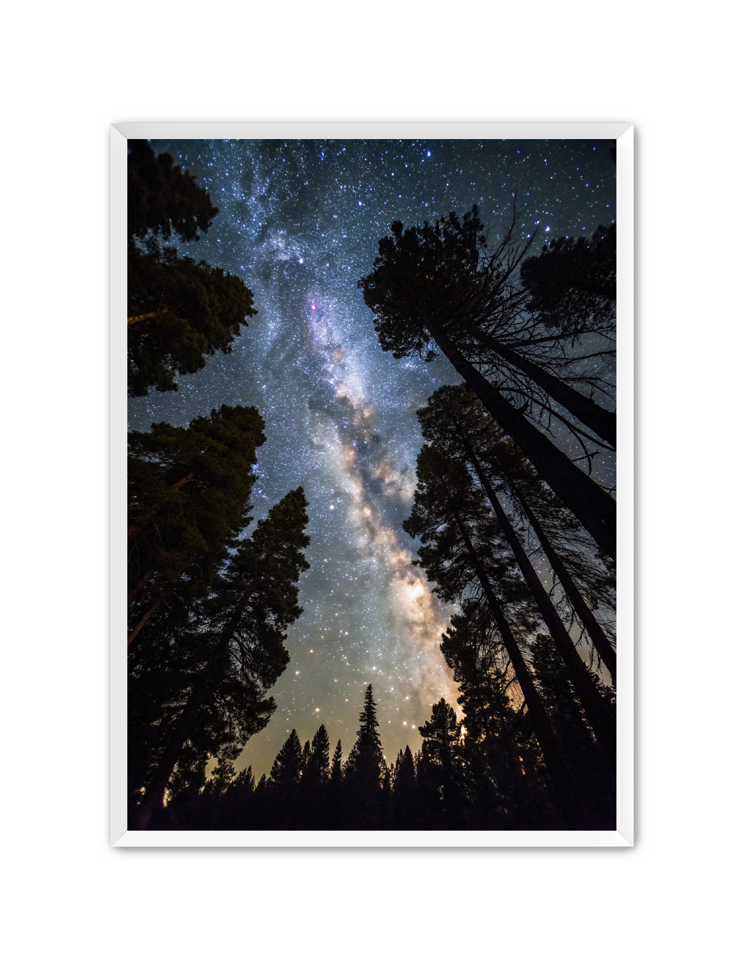 Apricus Prints 'Canopy of Eternity' Apricus Art Collection