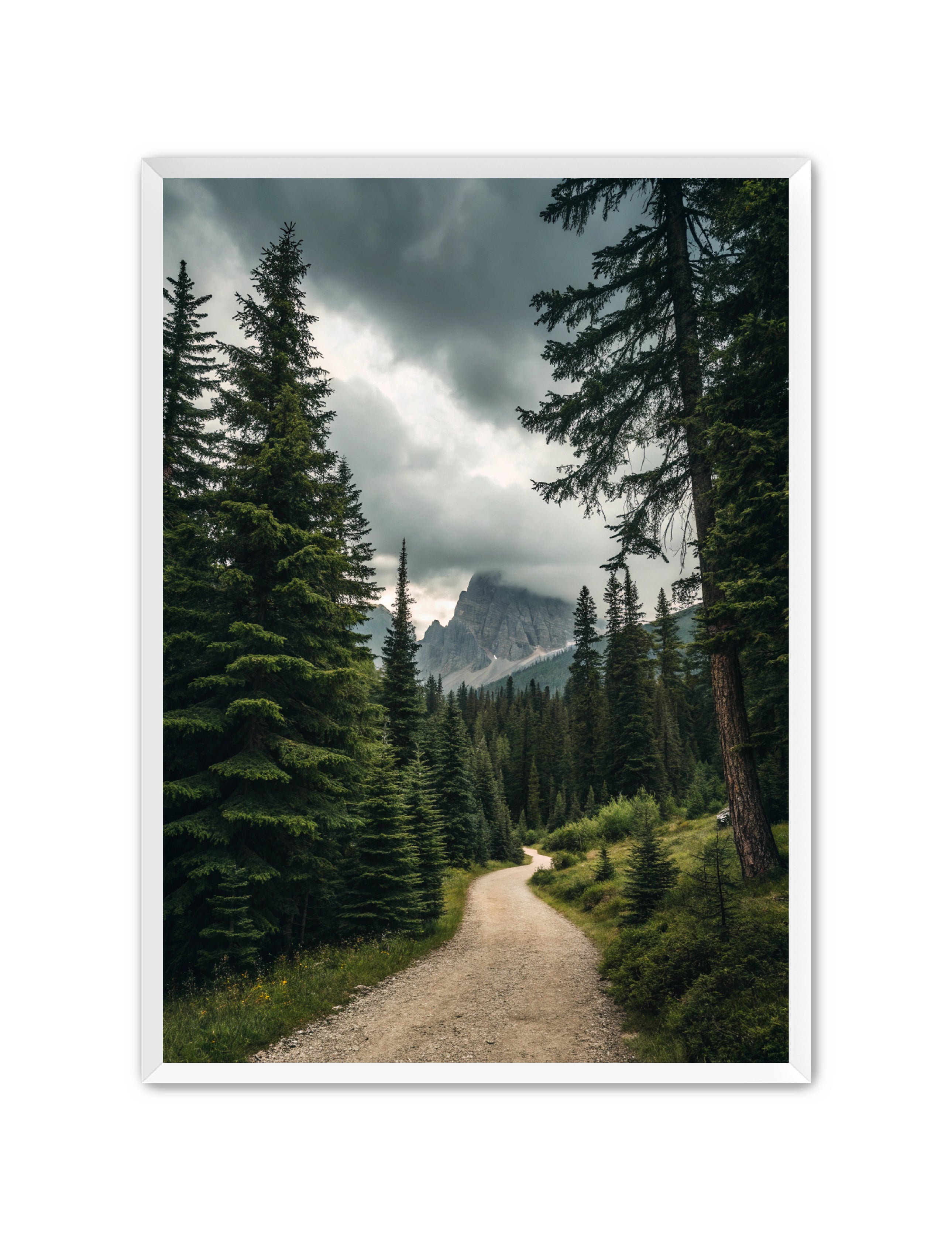 Apricus Prints 'Path to the Peaks' Apricus Art Collection