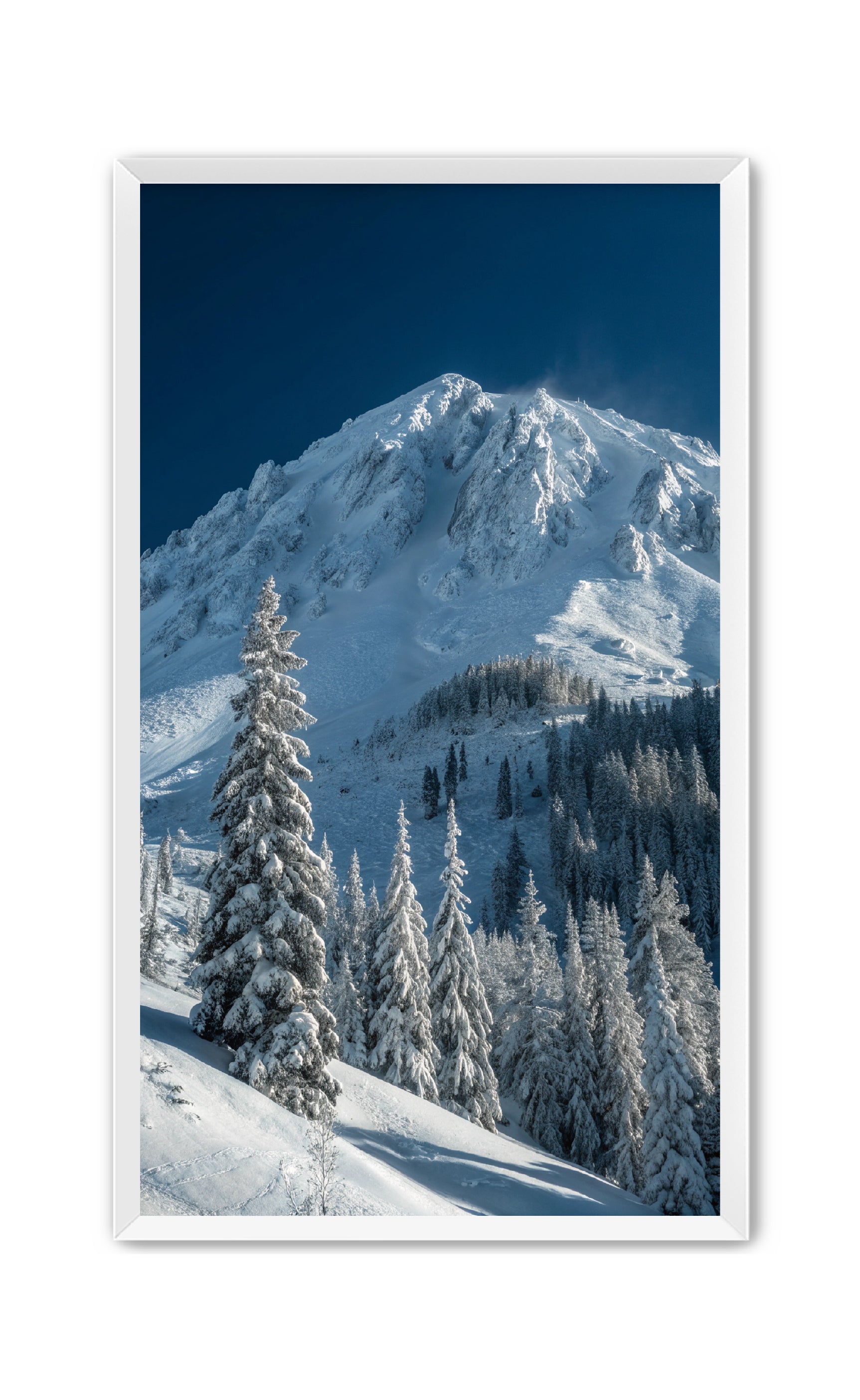 Apricus Prints 'The Call of the Peaks' Apricus Art Collection