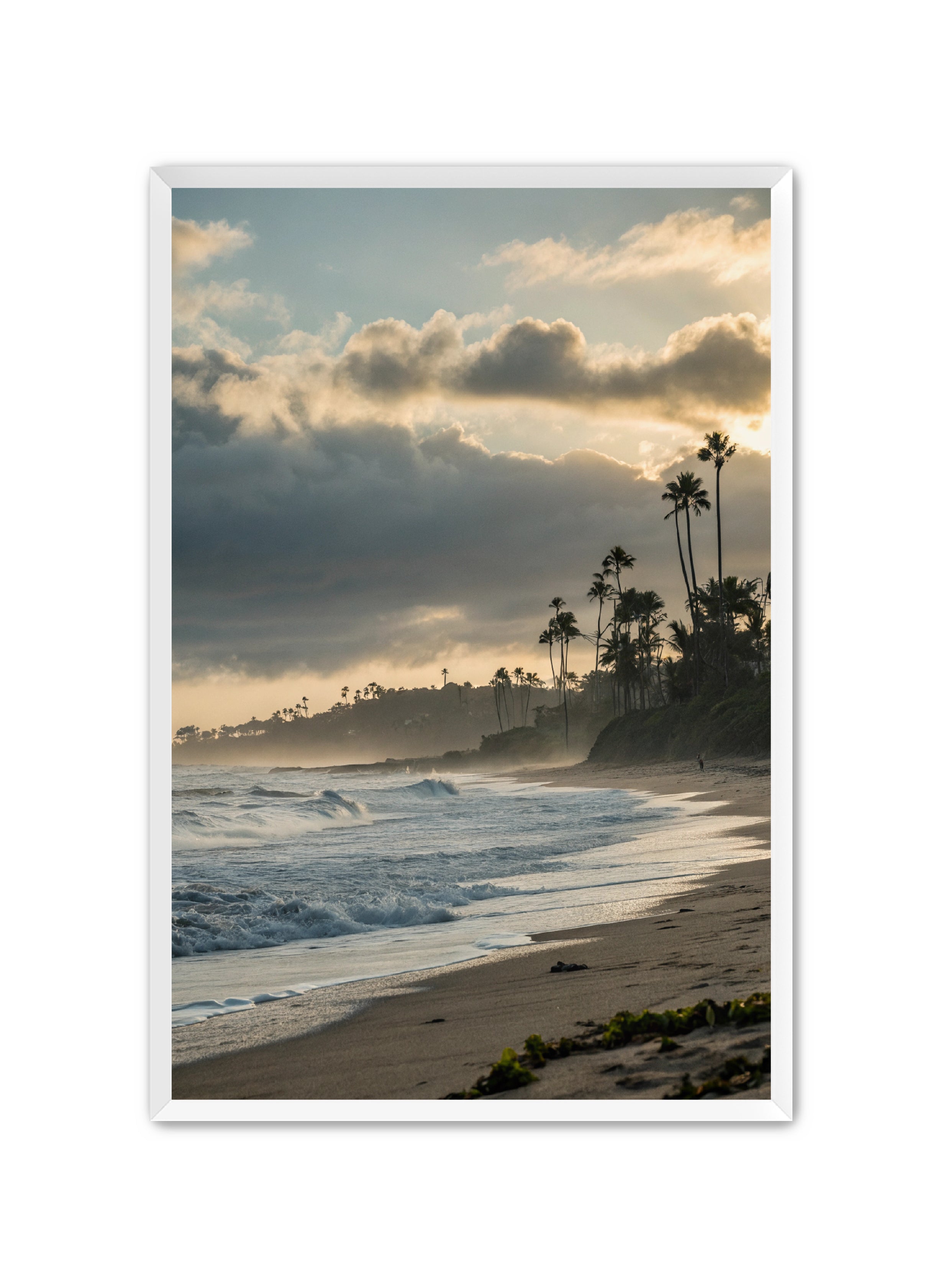 Apricus Prints Beaches 'Coastal Echoes' Apricus Art Collection