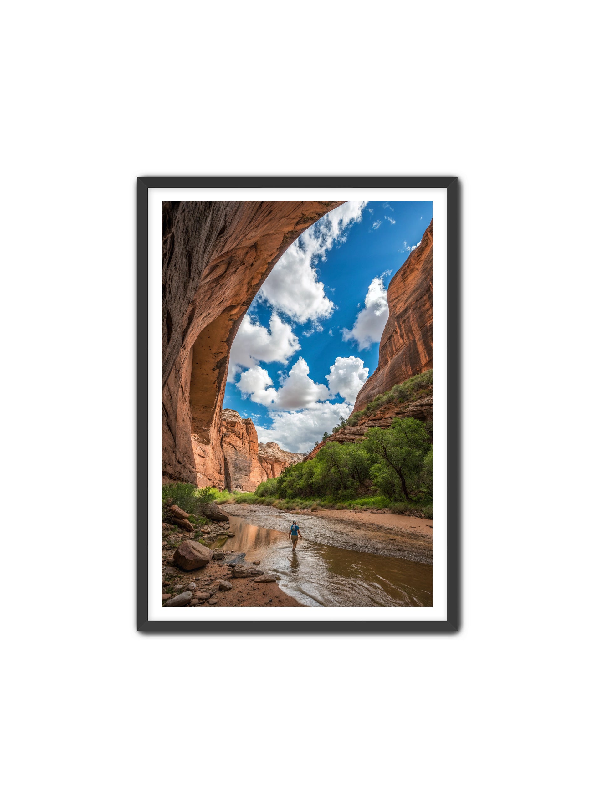 Apricus Prints 'Arches Creek' Apricus Art Collection