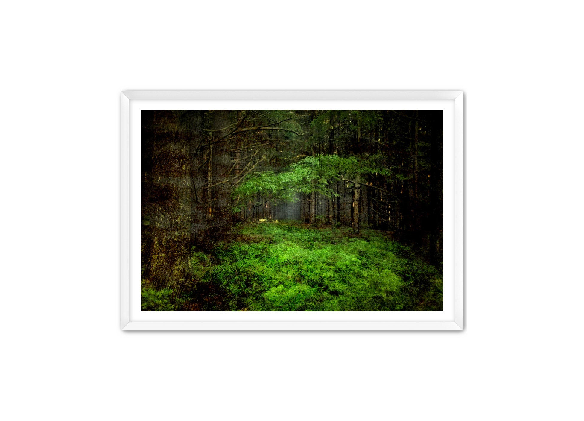 PhotoArt Prints 'TEXTURED TREES 3' Danielle Neumann Kelly