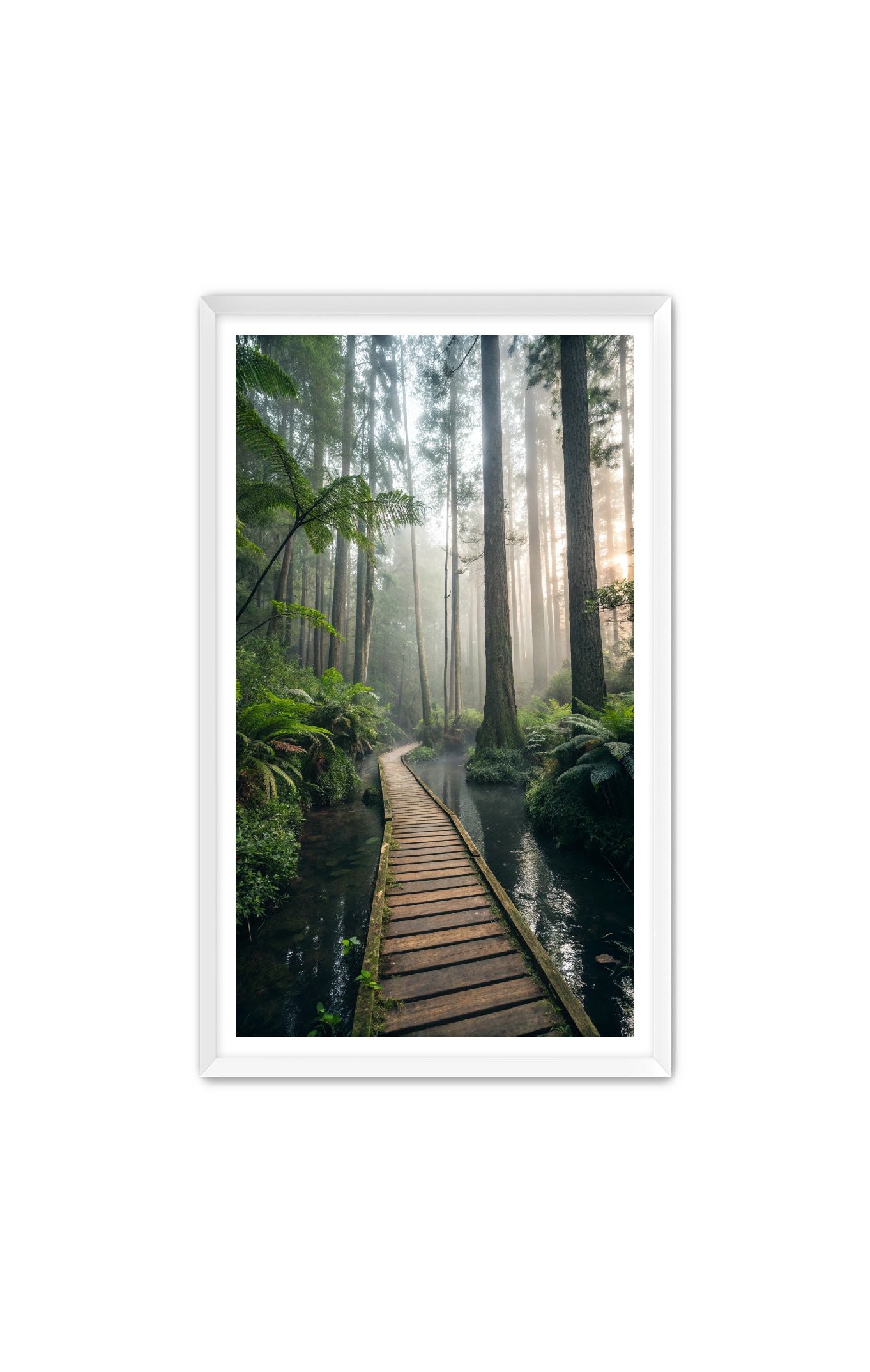 Apricus Prints 'Canopy Crossing' Apricus Art Collection