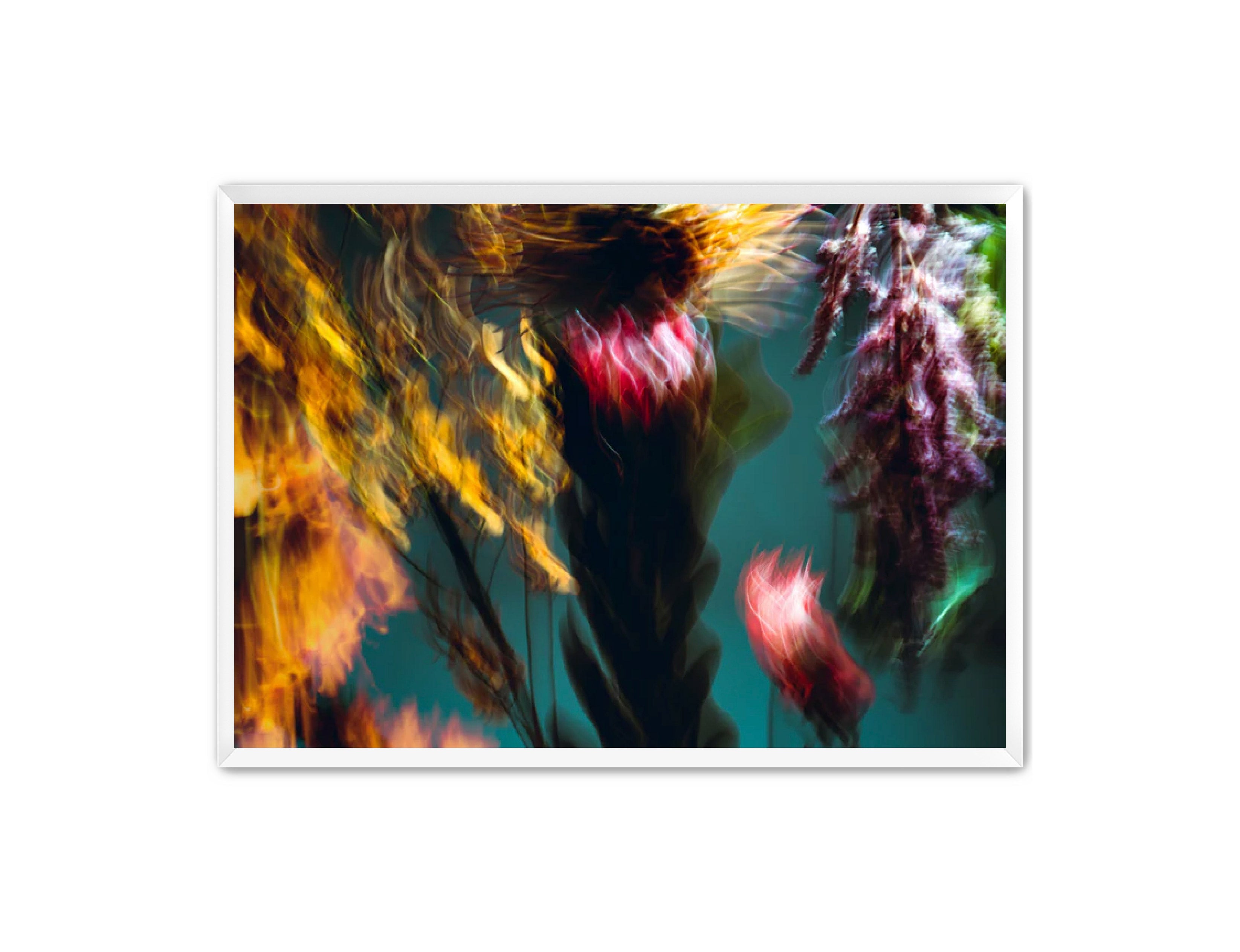 Photography Prints 'Fleur Bleur' Reed Decker