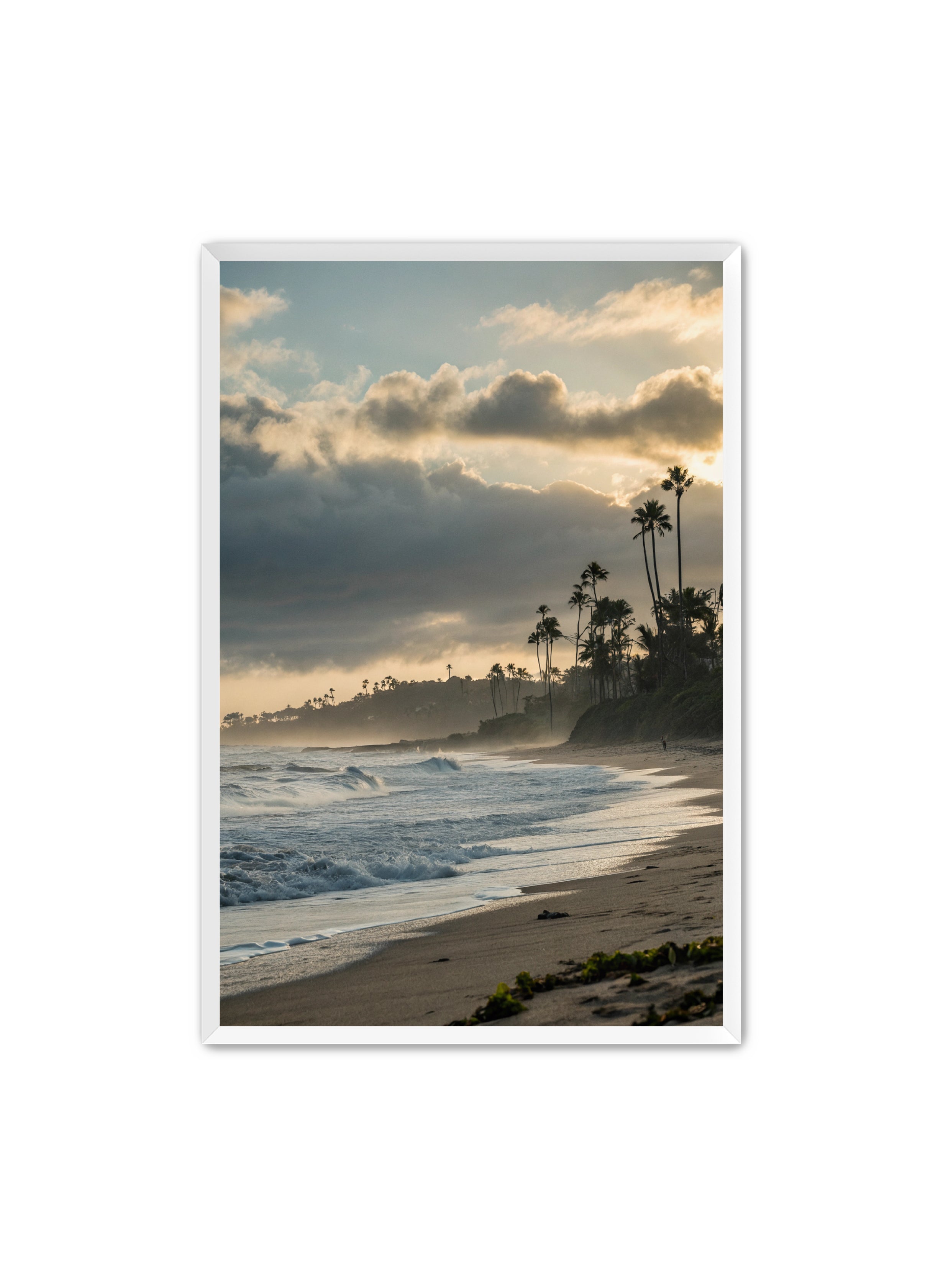 Apricus Prints Beaches 'Coastal Echoes' Apricus Art Collection