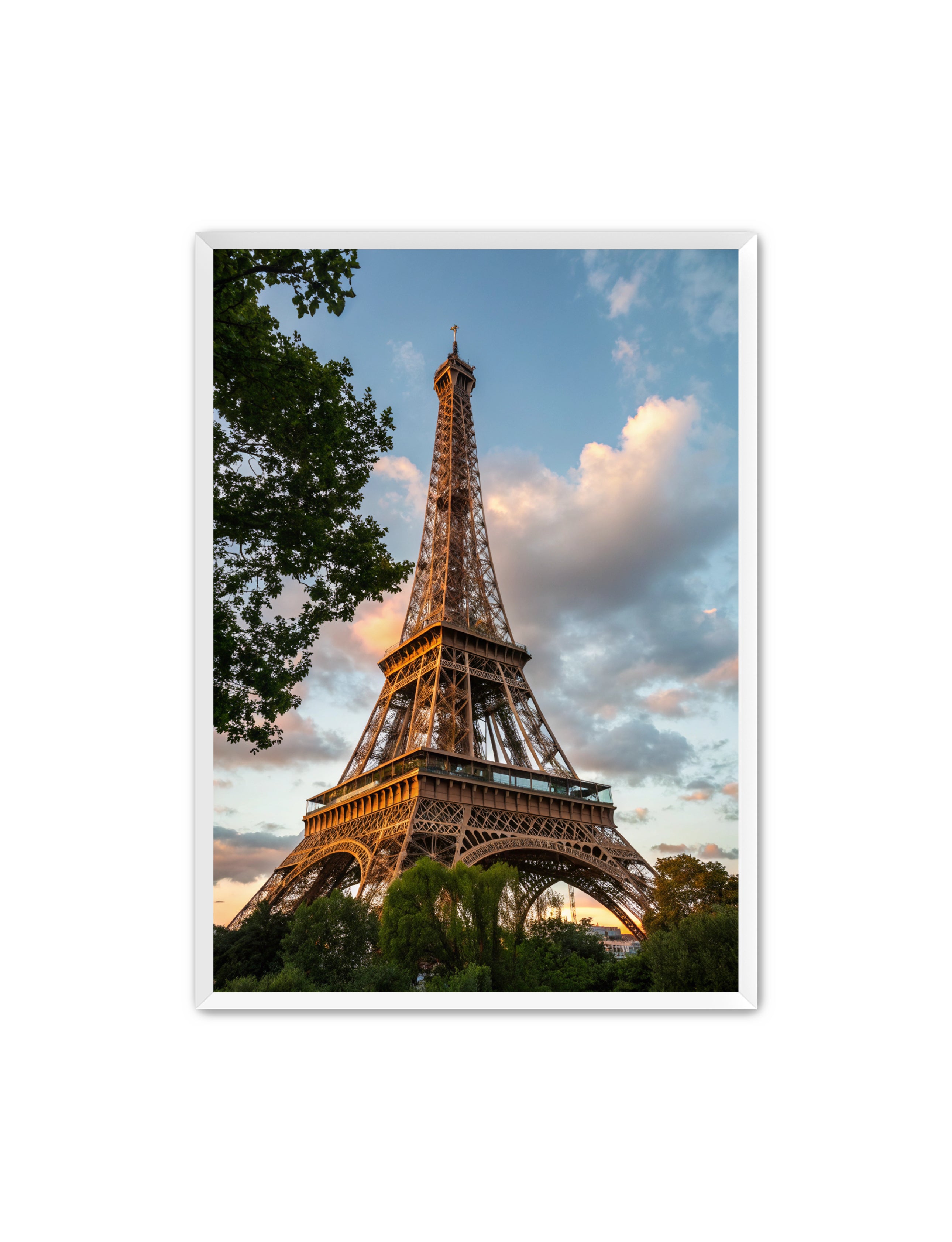 Apricus Prints 'Paris Bloom' Apricus Art Collection