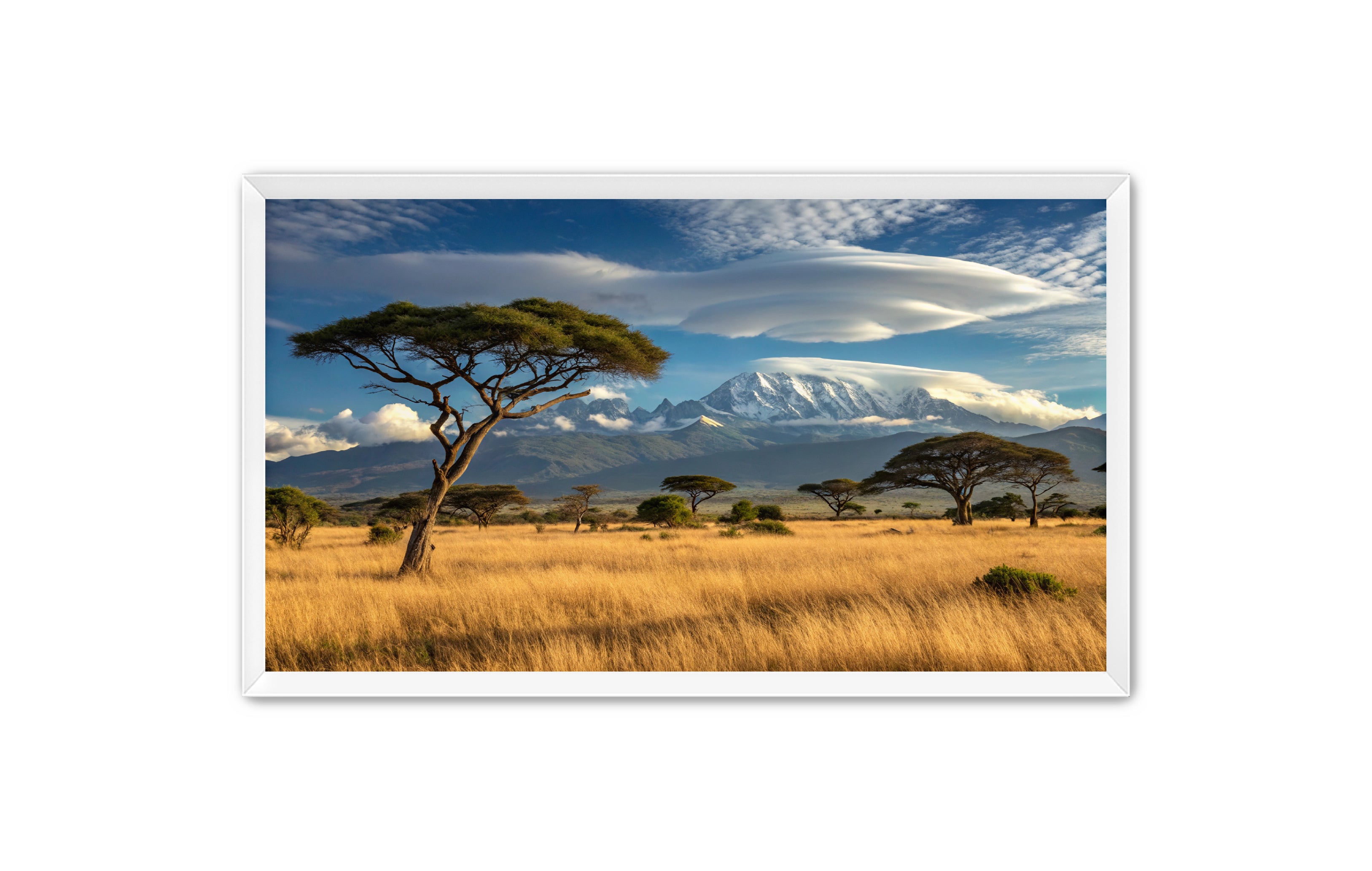 Apricus Prints 'Safari Layers' Apricus Art Collection