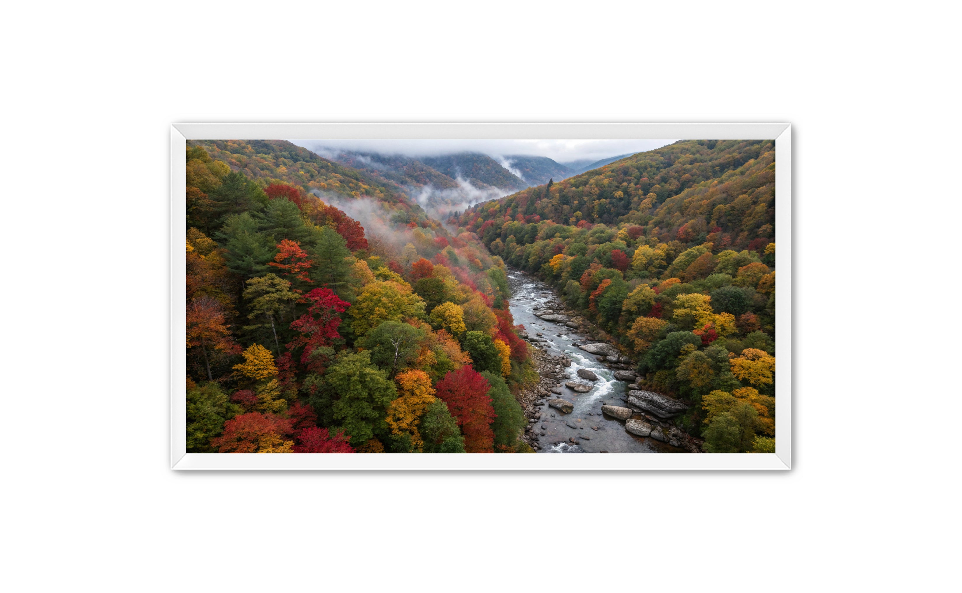 Apricus Prints 'Stick River' Apricus Art Collection