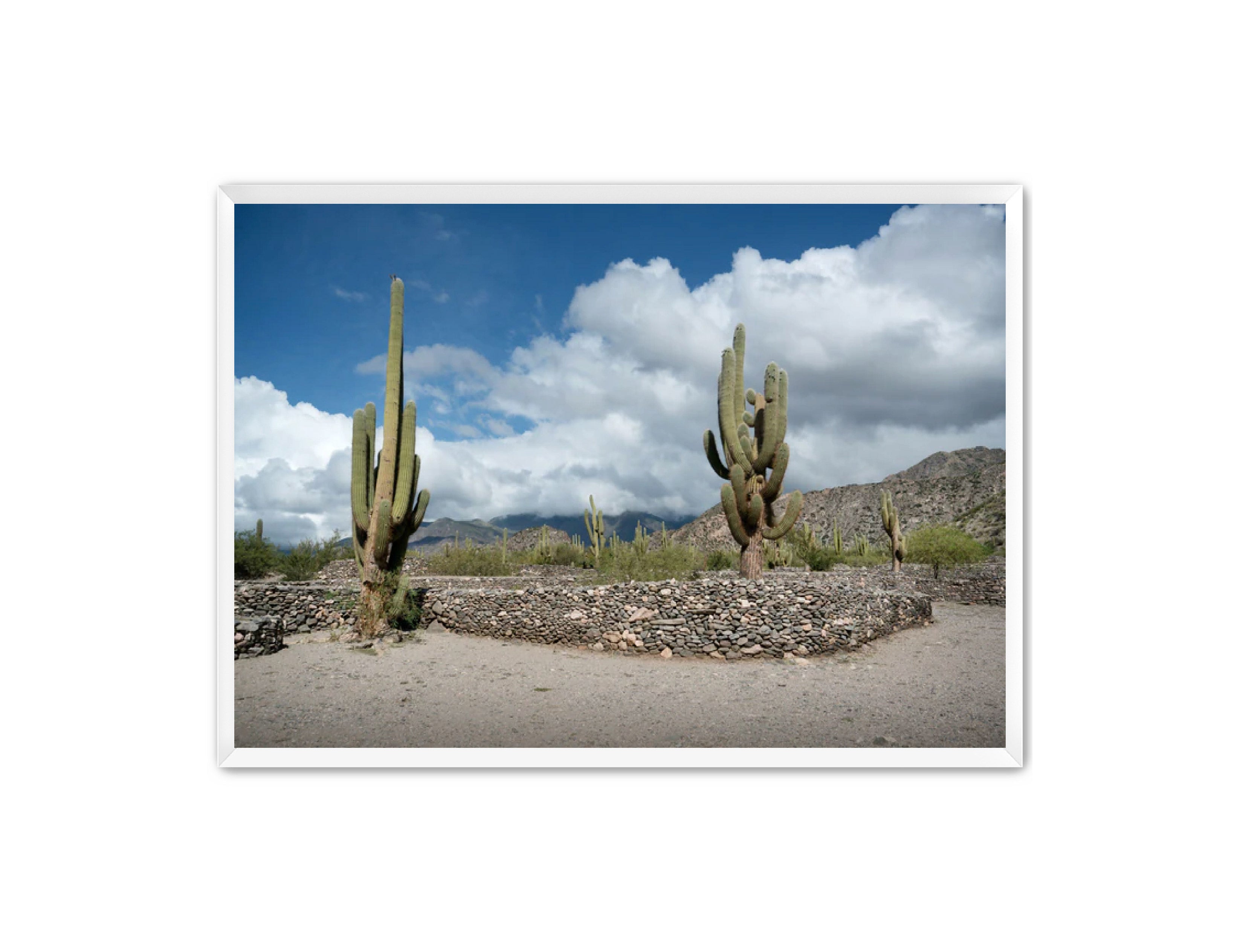 Landscape Photography Prints 'Cactus on the way' Aline Karagozlu