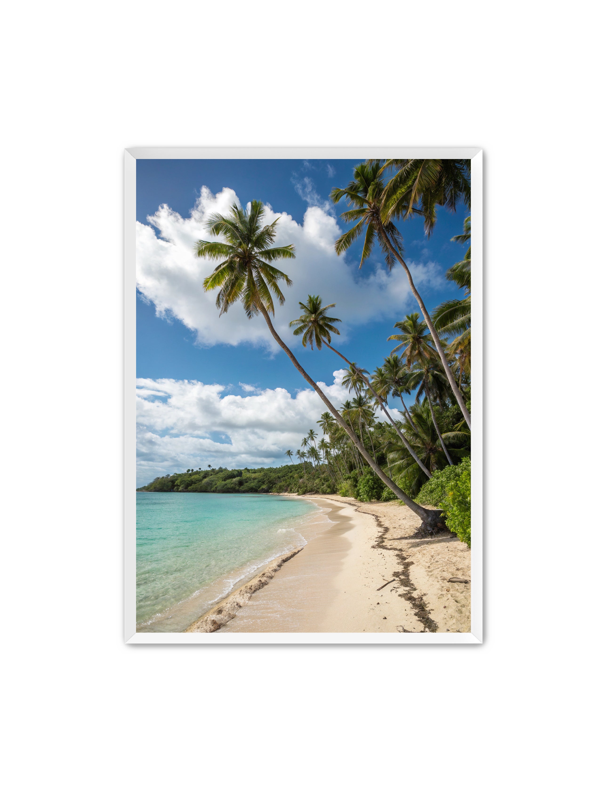 Apricus Prints Beaches 'Little Shade 2.0' Apricus Art Collection