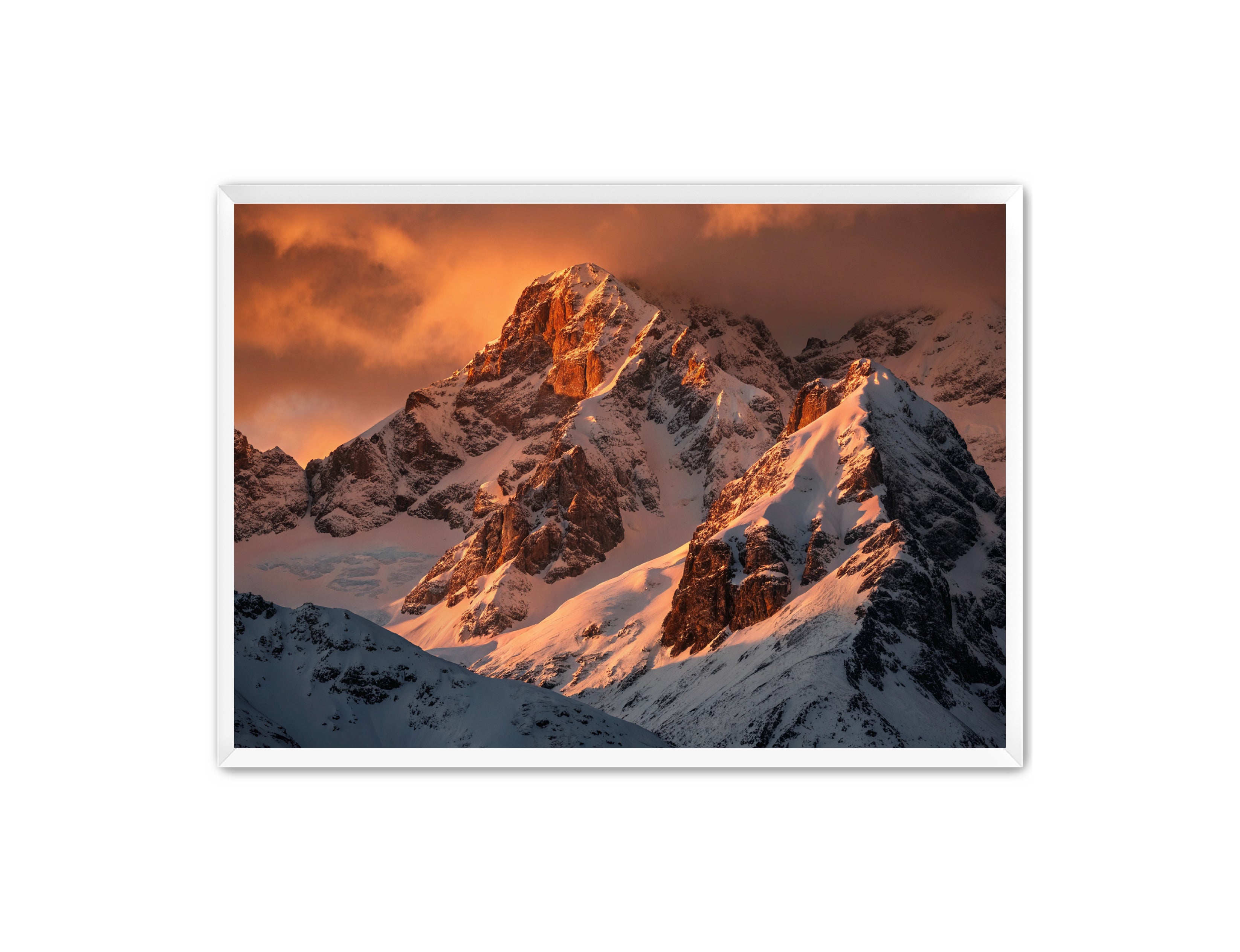 Apricus Prints 'Crimson Crown of the Himalayas' Apricus Art Collection