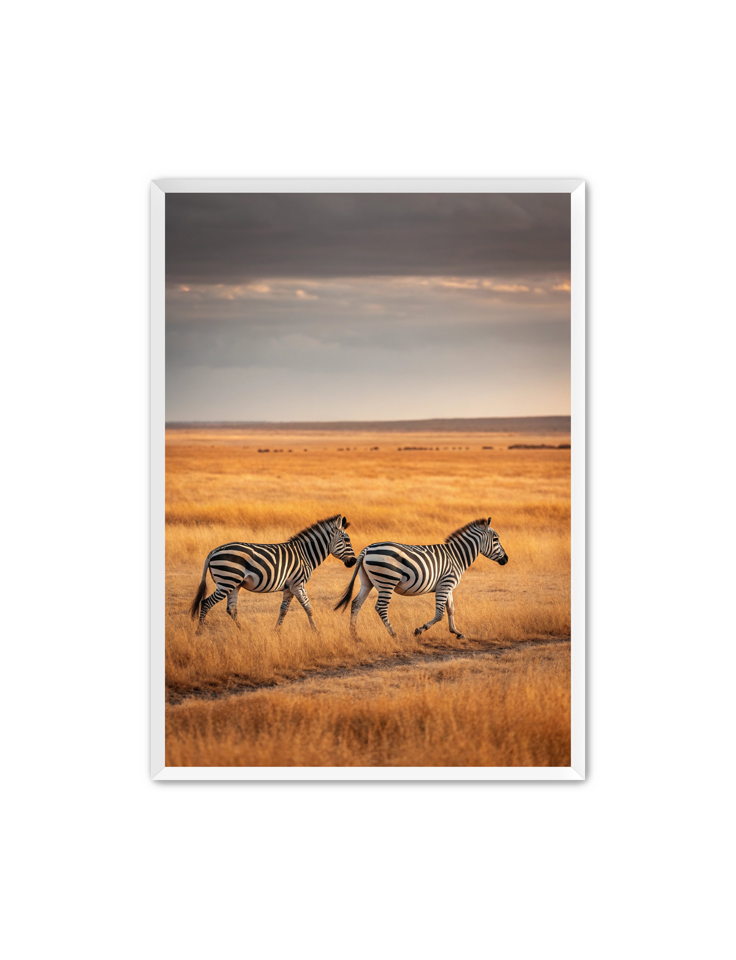 Apricus Prints 'Dynamic Duo' Apricus Art Collection