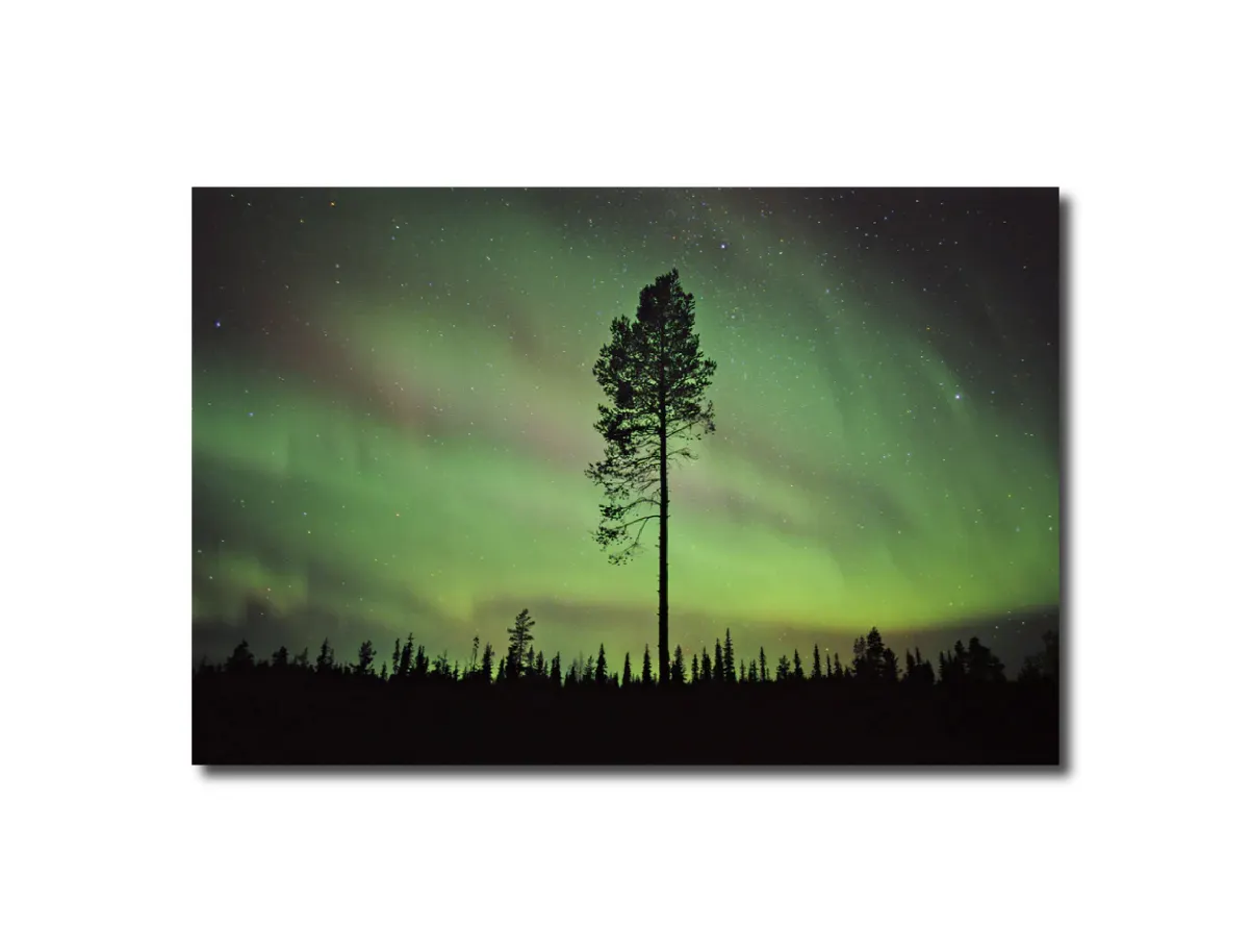 Landscape Photography Northern lights near Gallivare, Northern Sweden. Peter Essick