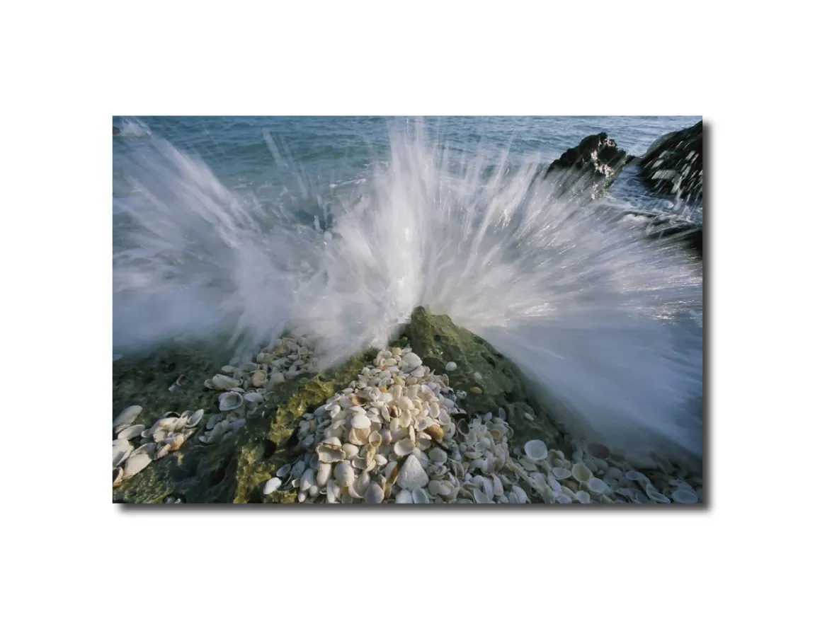 Landscape Photography Sanibel Island, Florida. Peter Essick