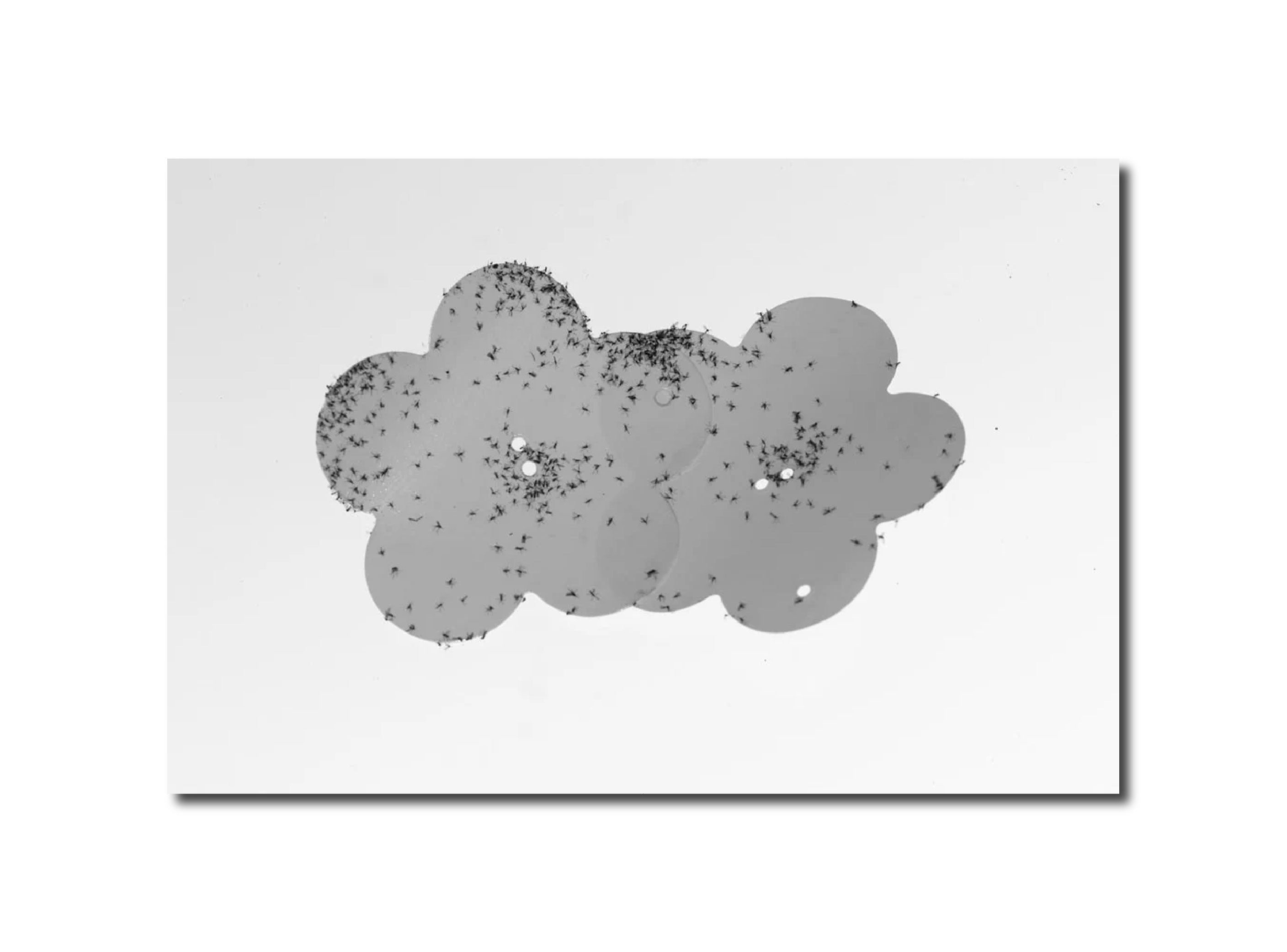 'GRADIENT LOSS - 7TH OF APRIL 2025 (13:36)'