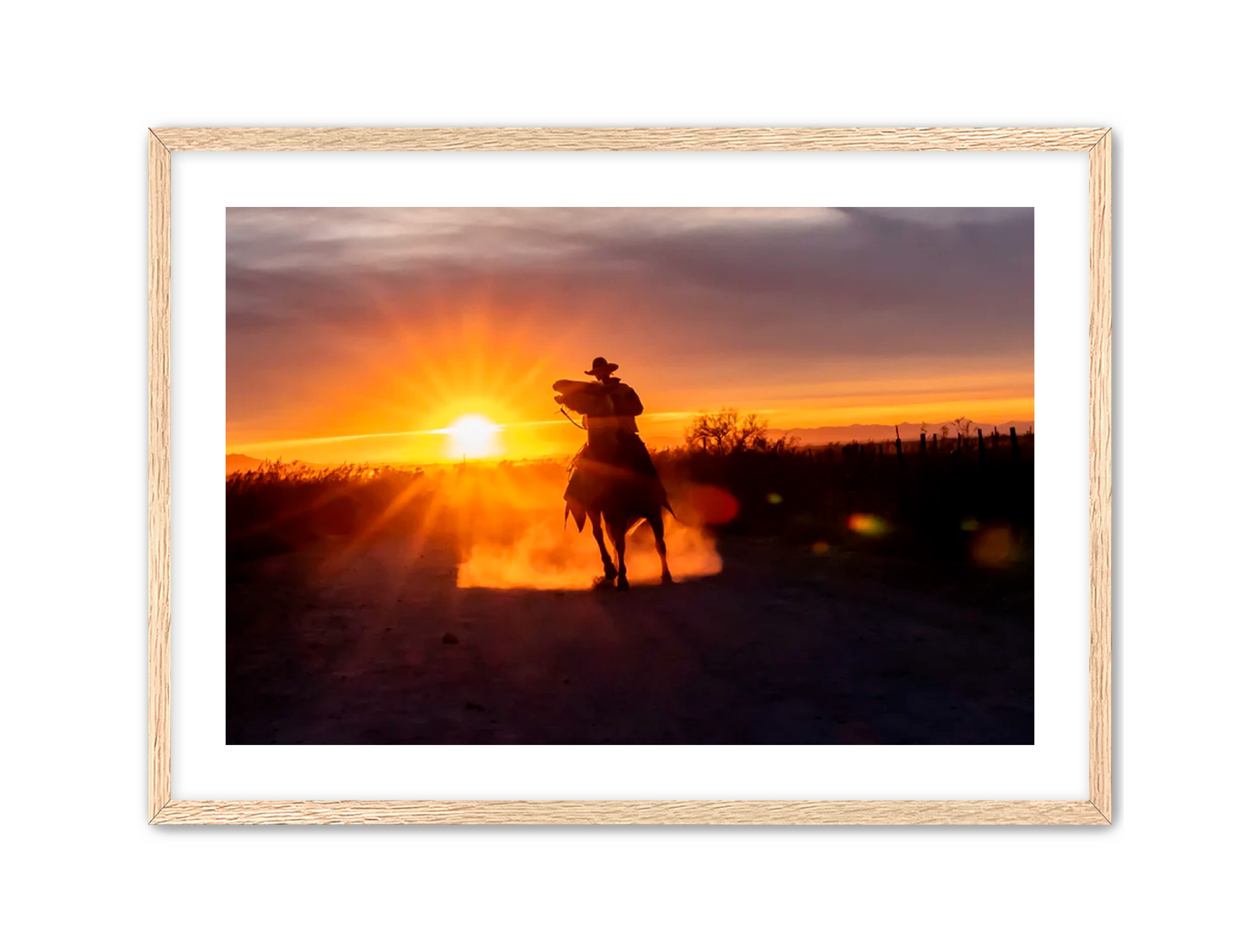 Horizontal photography 'GOLD RIDER' Apricus Art Collection