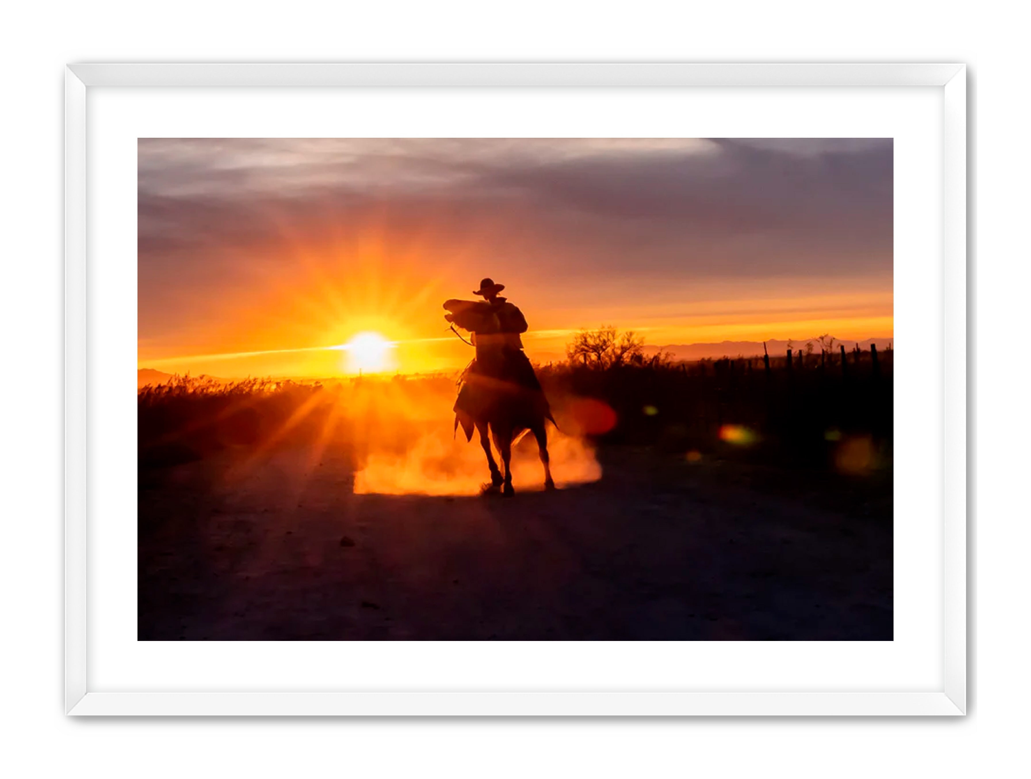 Horizontal photography 'GOLD RIDER' Apricus Art Collection