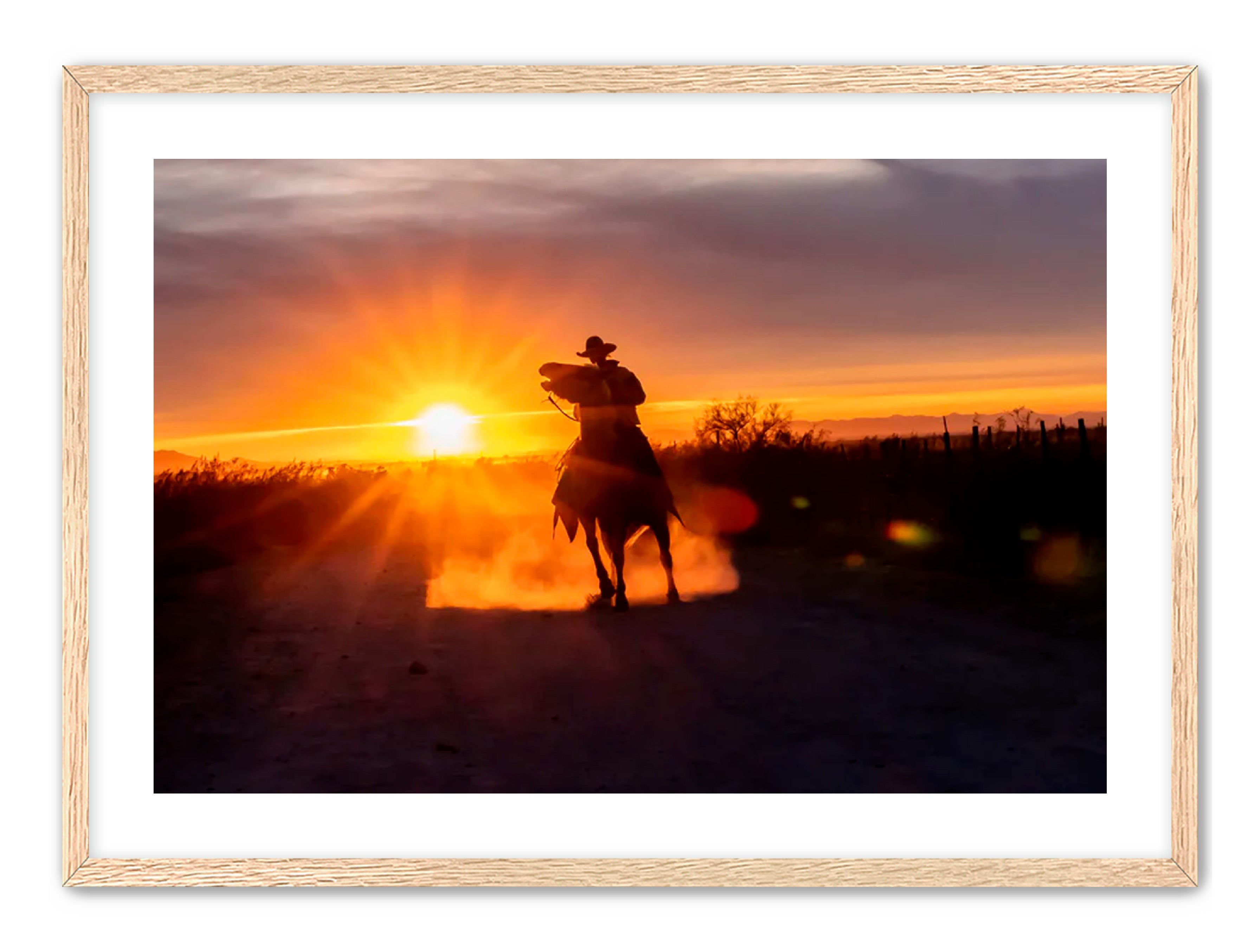 Horizontal photography 'GOLD RIDER' Apricus Art Collection